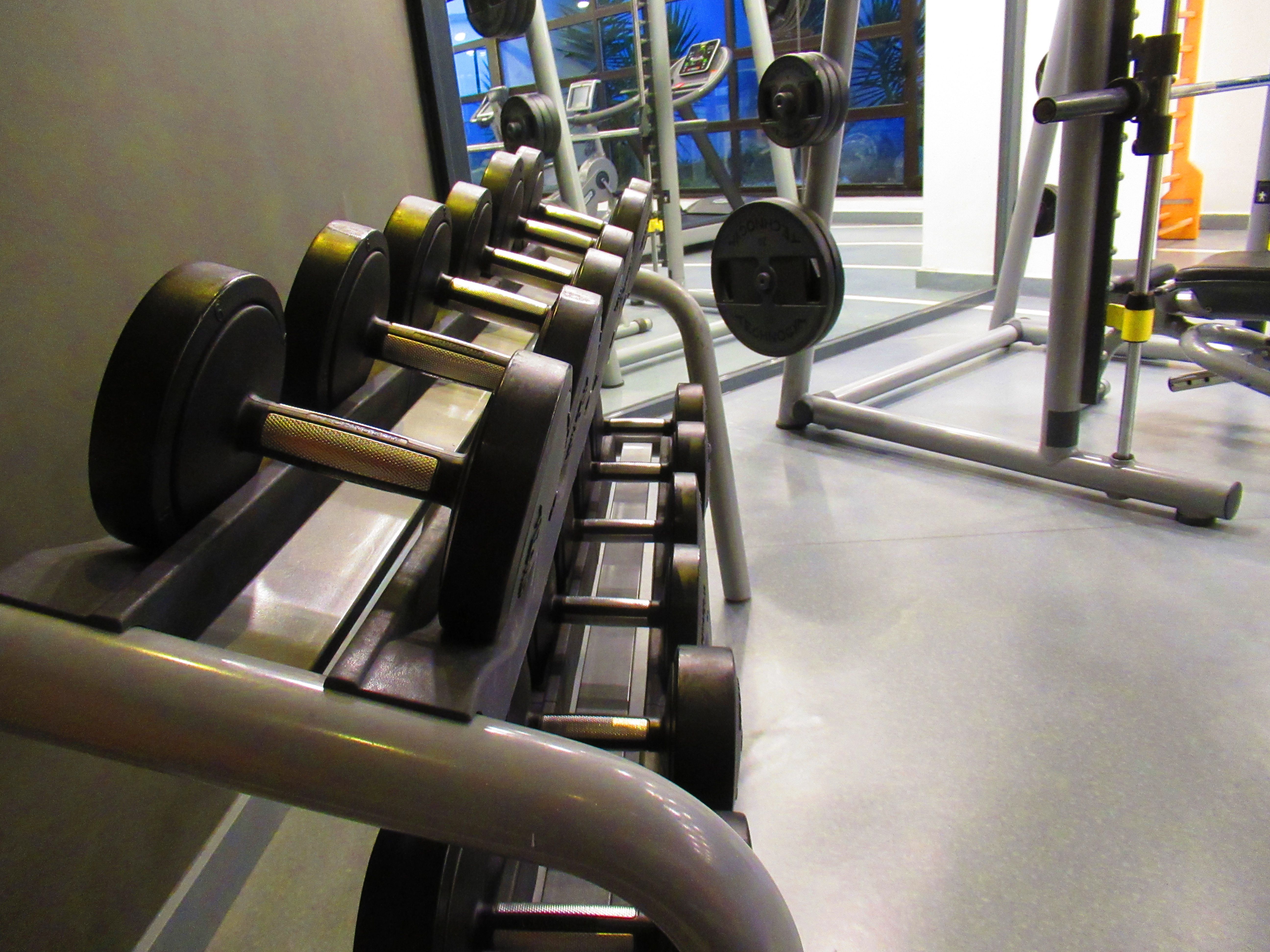 free photo Sport and dumbbells and gym, weight room, bodybuilding