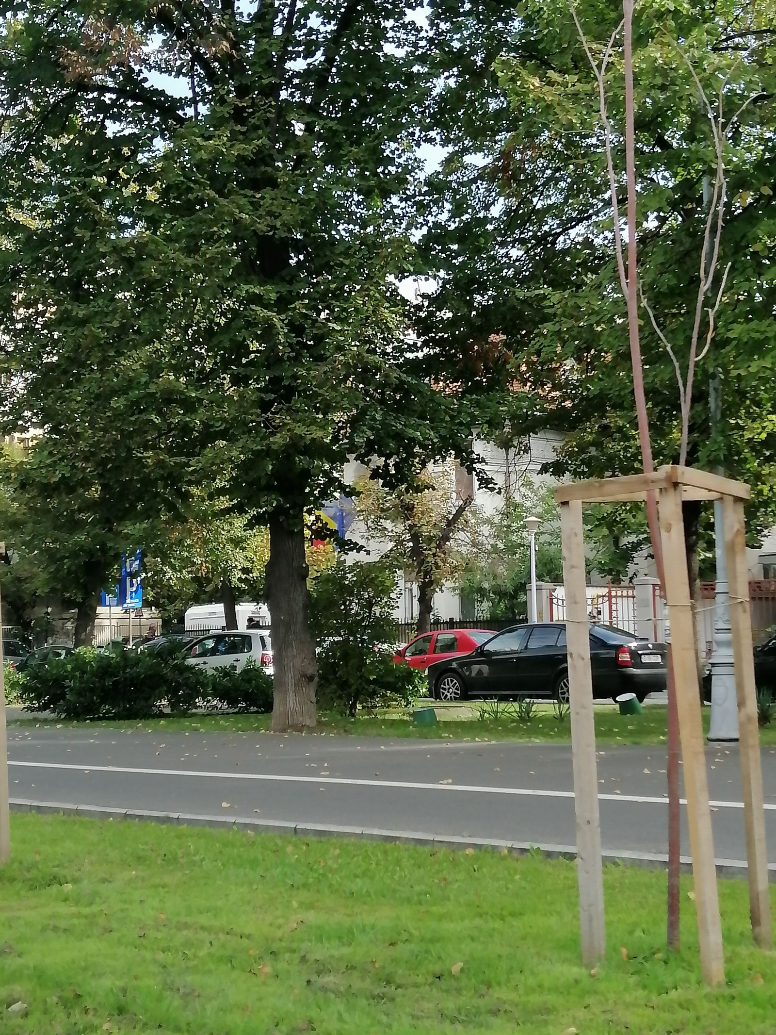 Grand boulevard sur la route de La Victoire à Bucarest en Roumanie