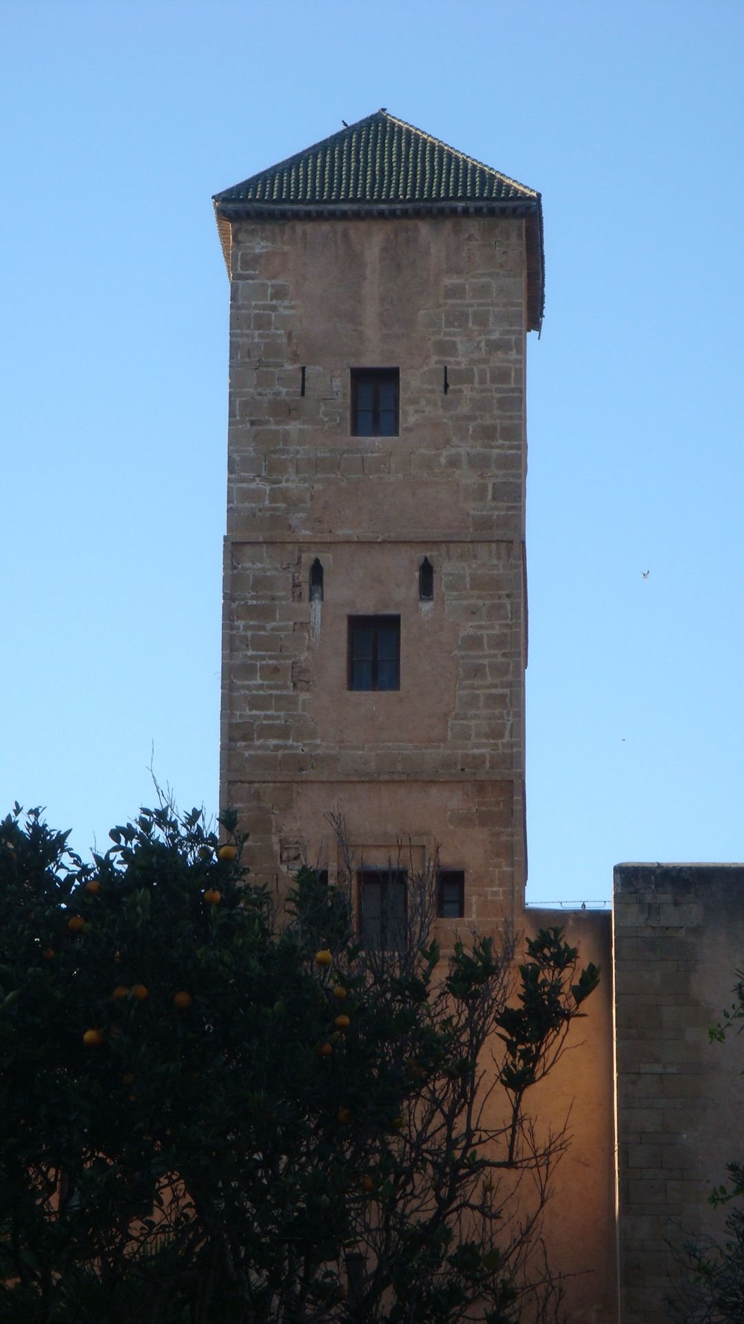Traditional tower at the Kasbah of the Oudayas free photo