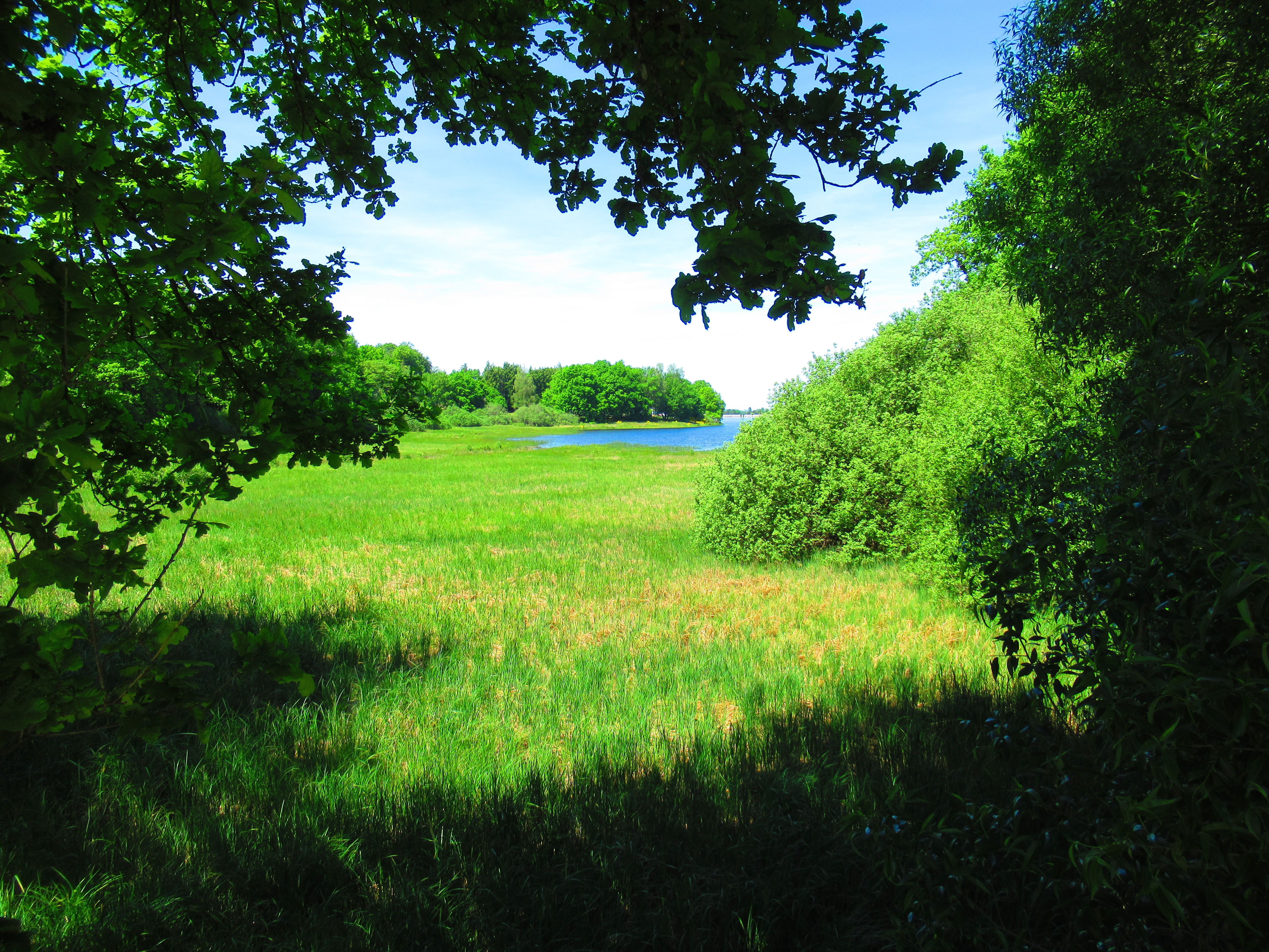 Bouzey lake, Vosges, blue sky, fresh air for a walk along the water, free photo - Lago de Bouzey, Vosgos, cielo azul, aire fresco para pasear junto al agua, foto gratis