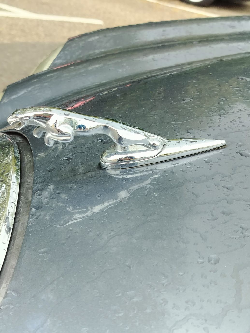 Mascotte au bout du capot d'une Jaguar