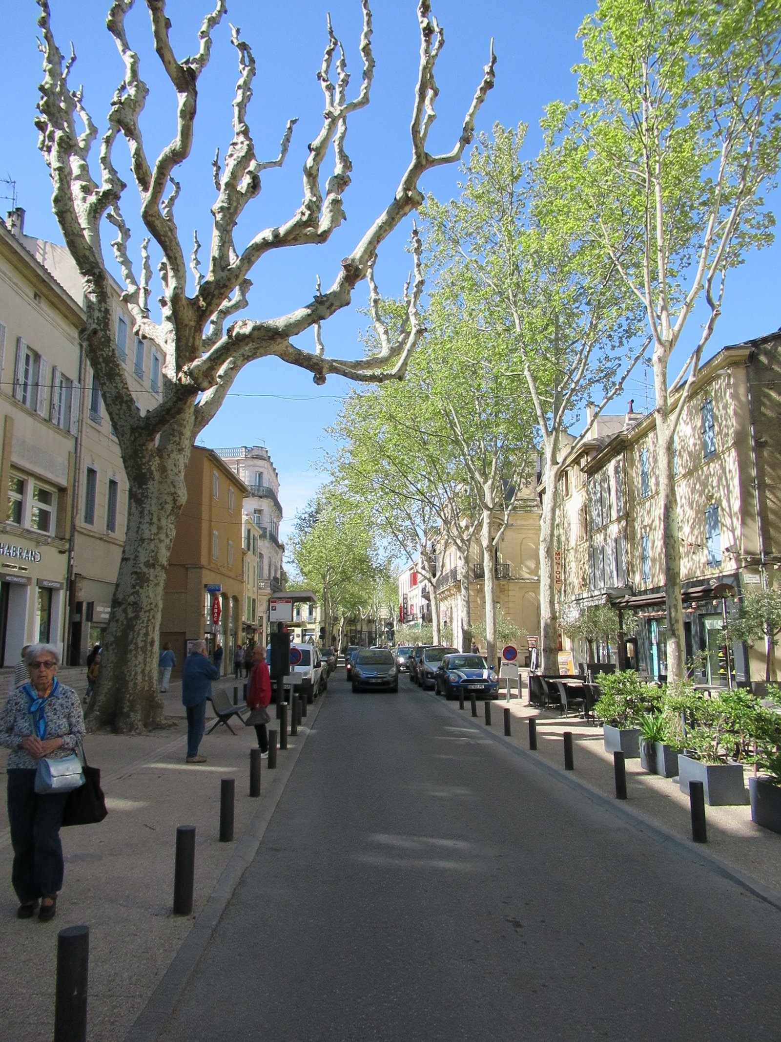 Avenue à Salon de Provence