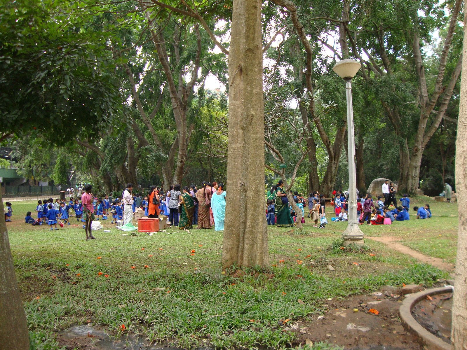 Un rassemblement de personnes, dont de nombreux enfants en uniforme scolaire bleu, dans un grand espace vert arboré, un jardin public, photo gratuite