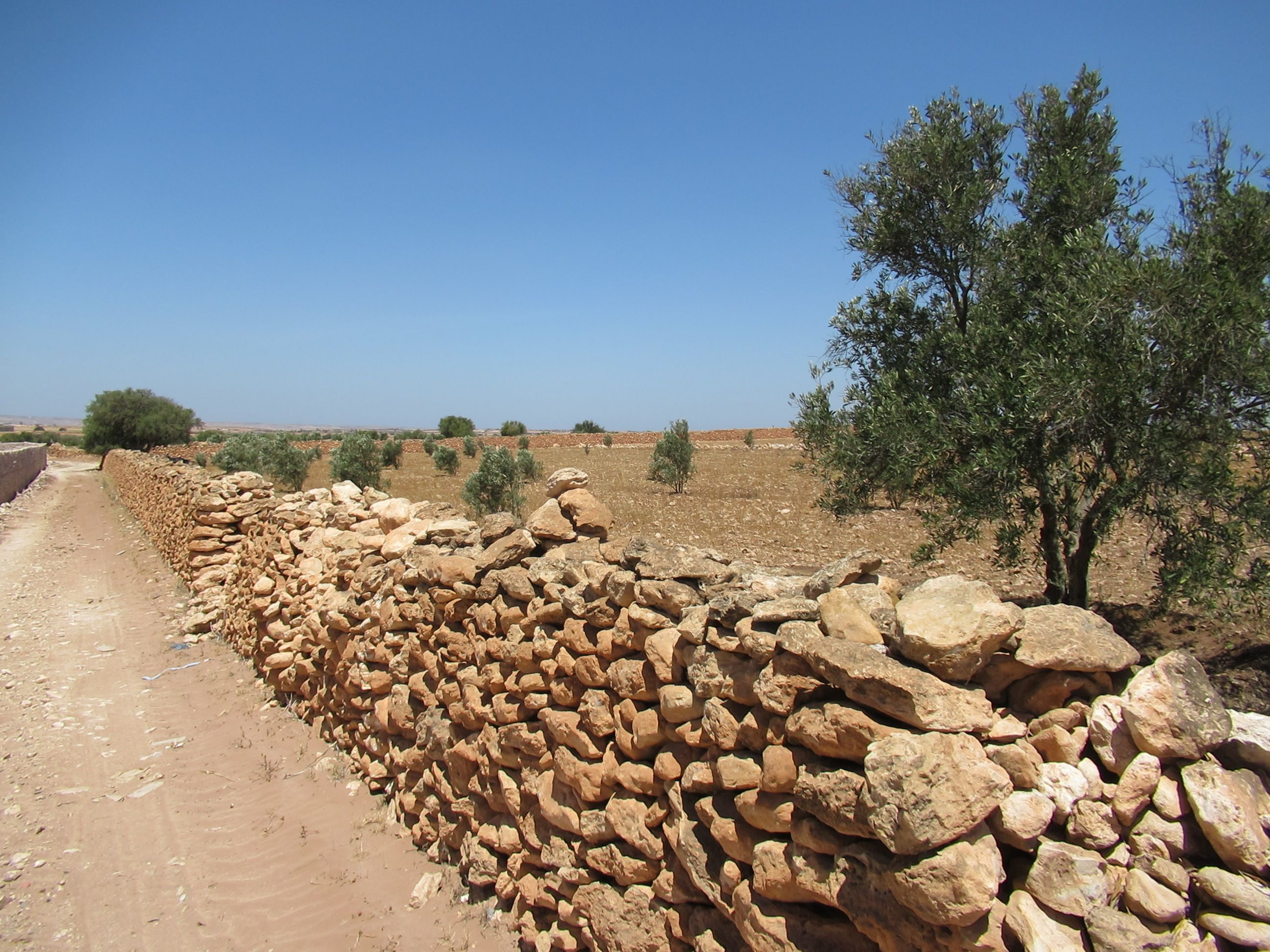 Mur en pierres sèches