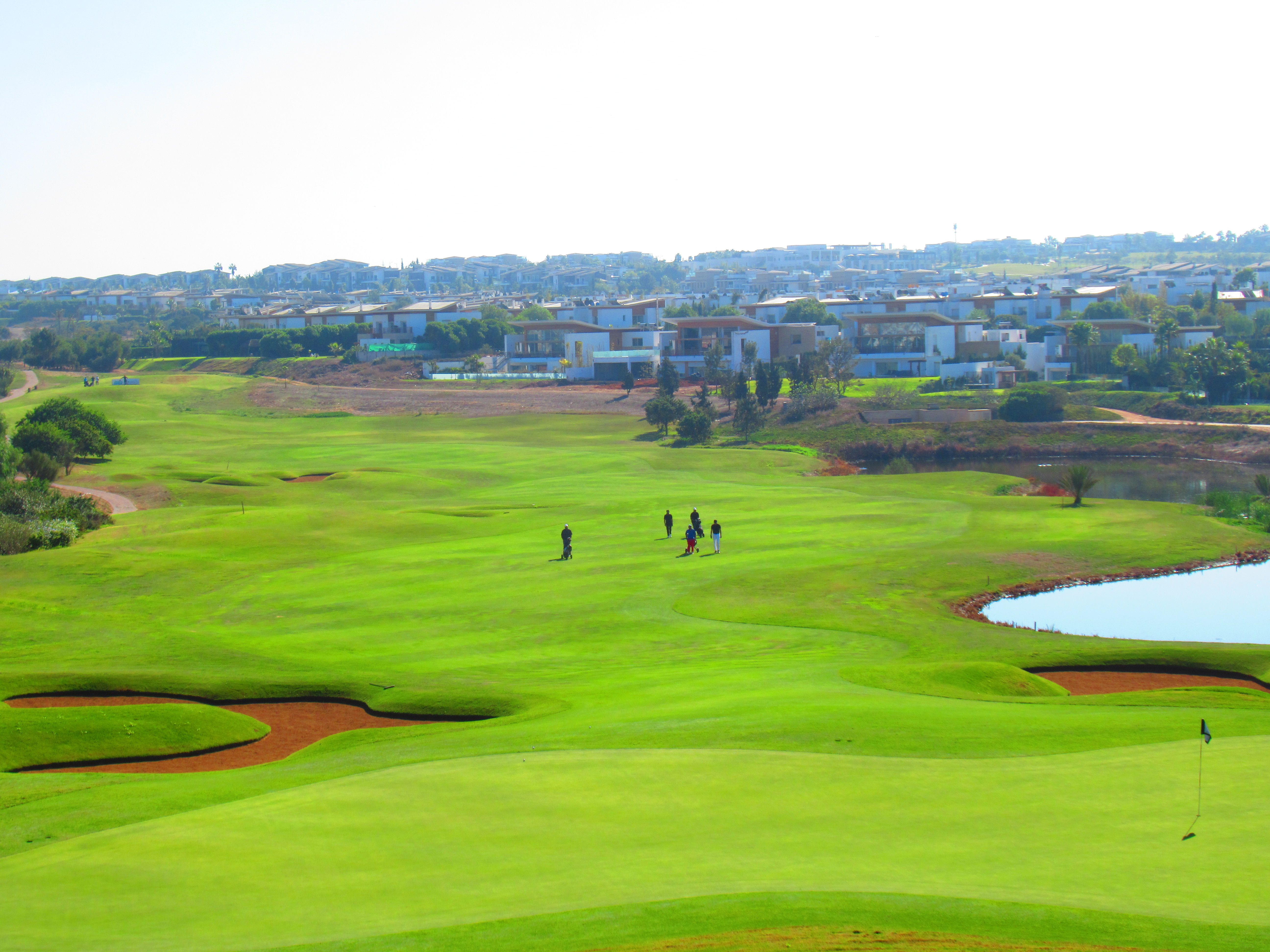 free photo of Mazagan Golf Course, Morocco, El Jadida, sport, outdoors, the great outdoors, nature, seaside