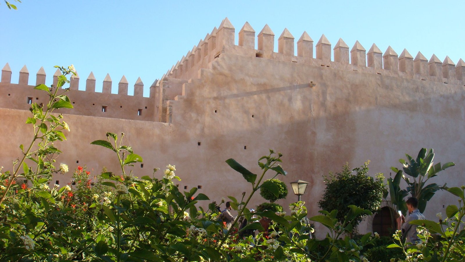 Jardin fleuri au pied des remparts de la Kasbah des Oudayas photo gratuite