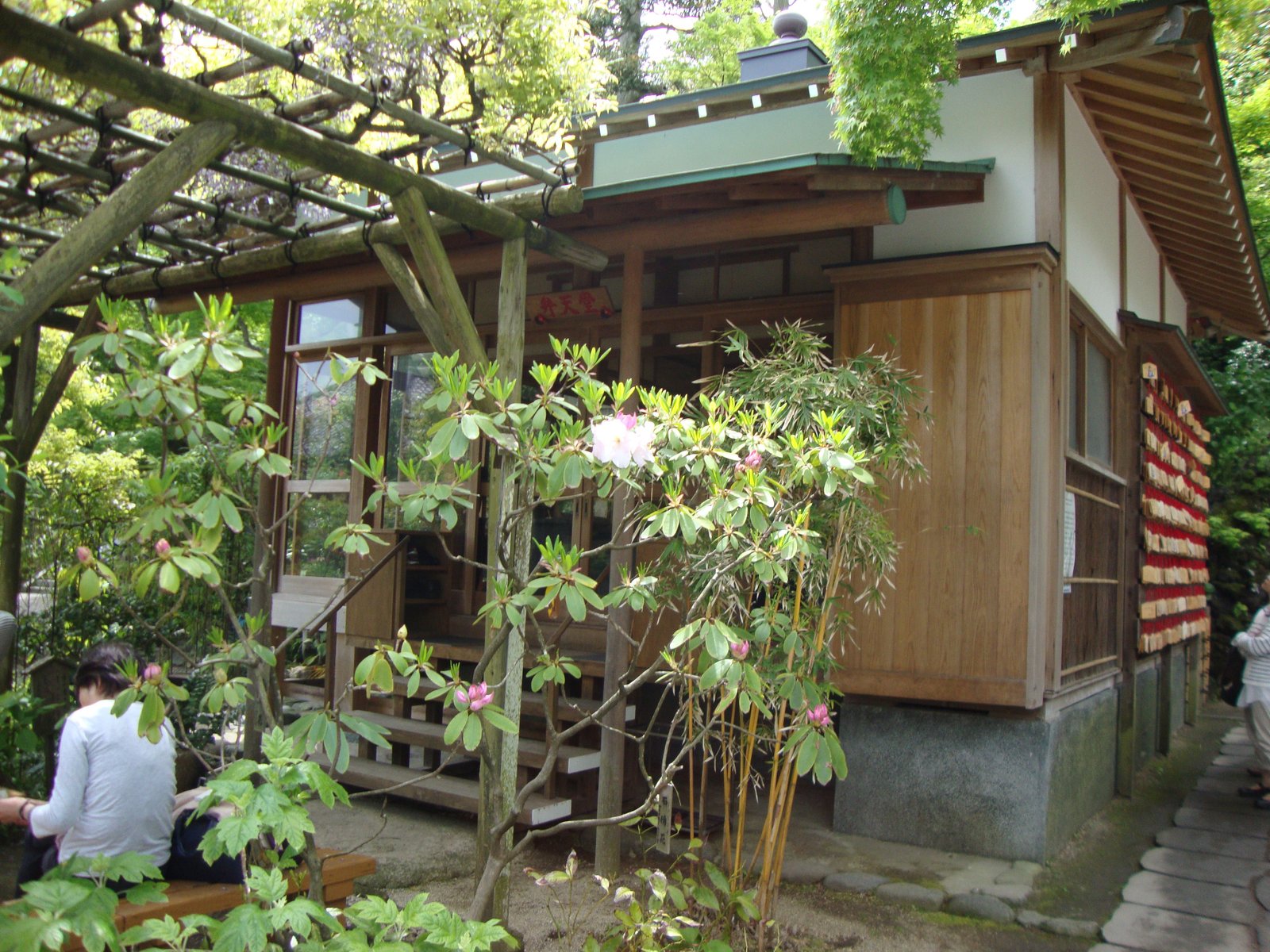 Maison traditionnelle japonaise dans un jardin verdoyant photo gratuite