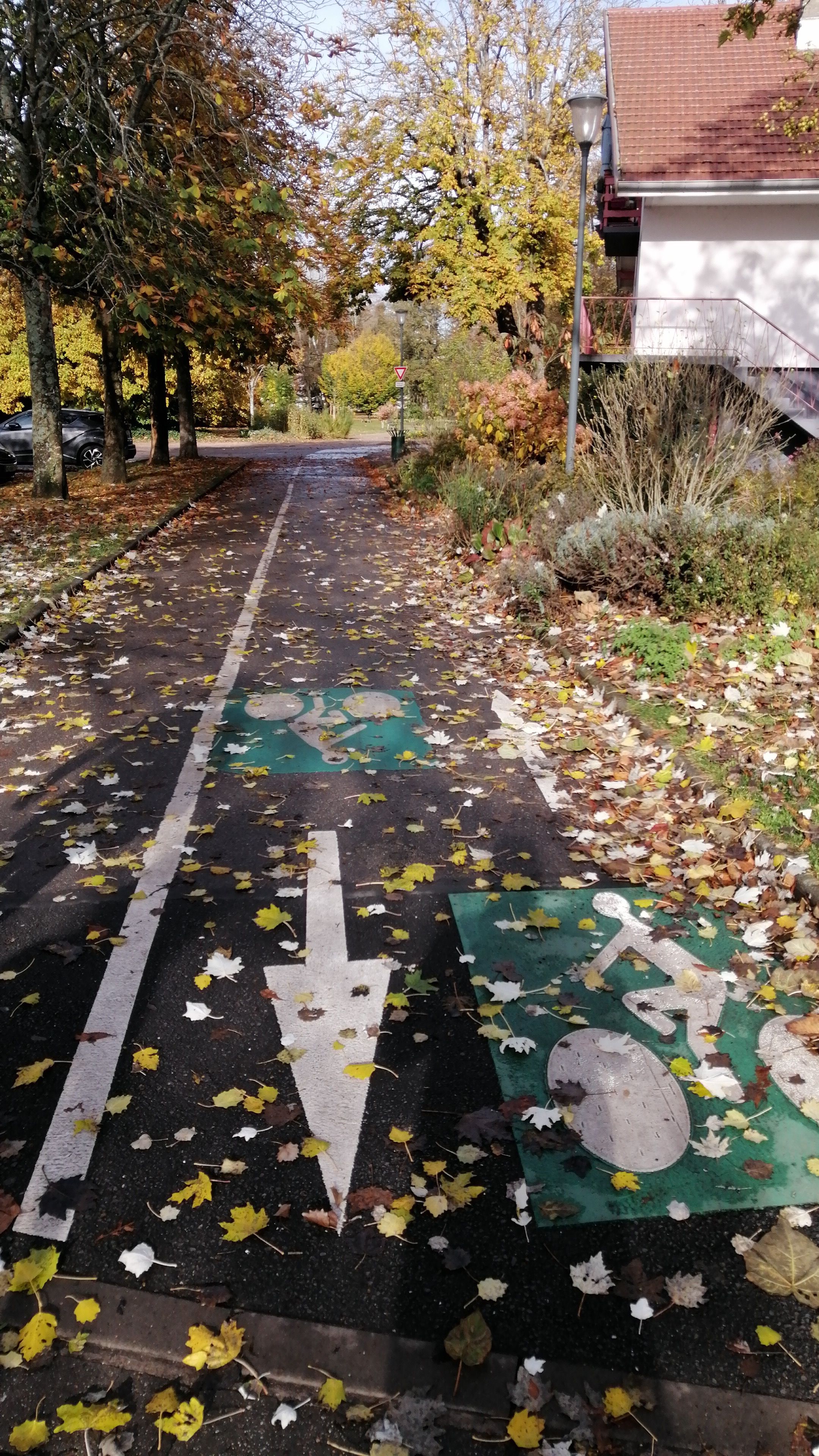 Piste cyclable marquée sur une chaussée avec une indication de direction