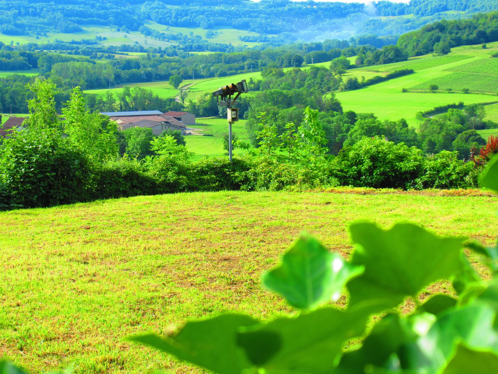 Un paysage de campagne verdoyant, photo gratuite