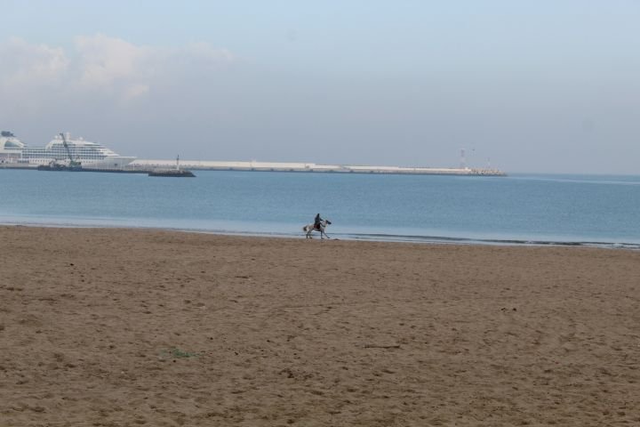 Un cavalier monte un cheval au bord de la plage près d'un port photo gratuite