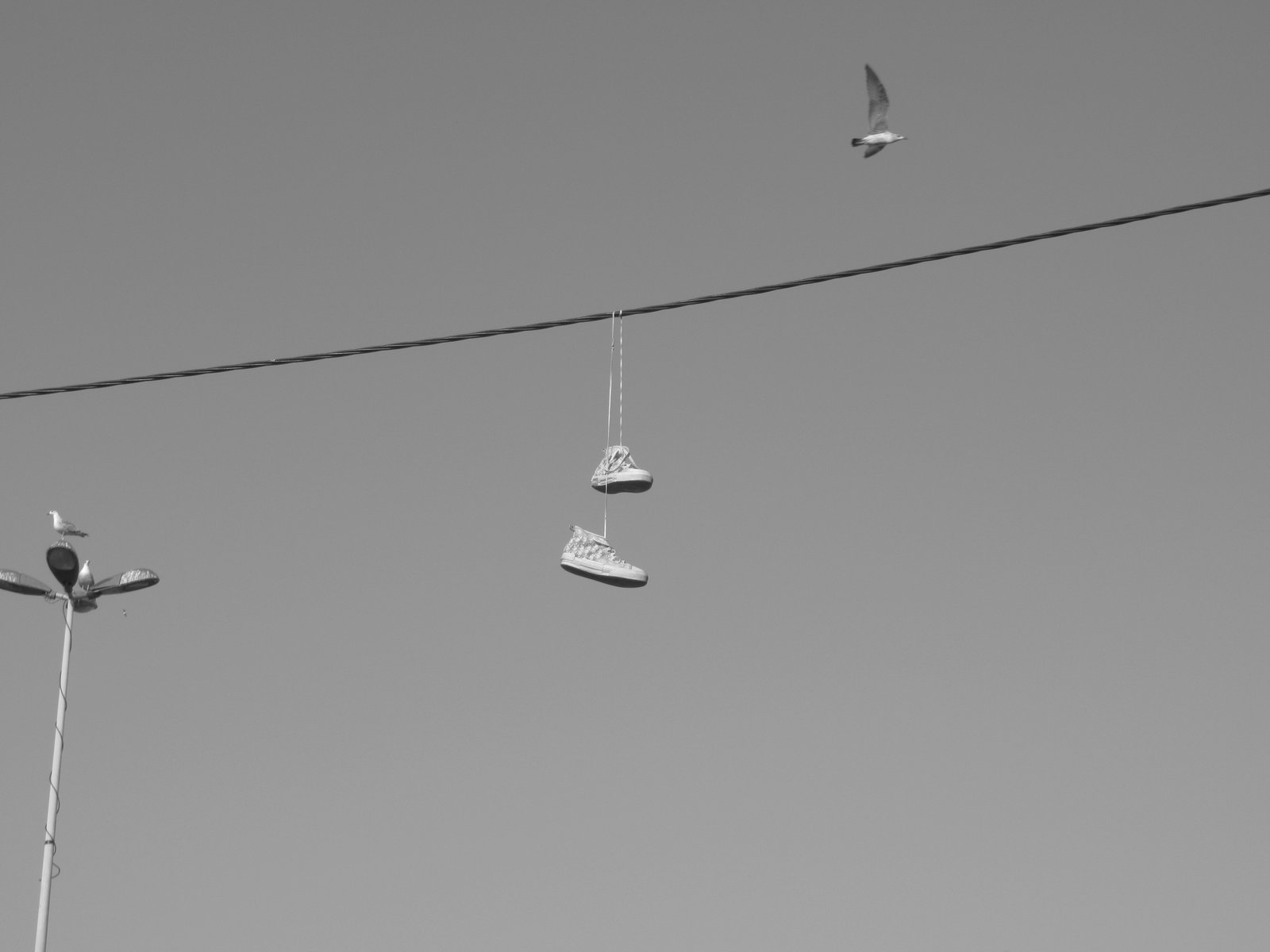 Une paire de chaussures suspendues à un câble photo gratuite