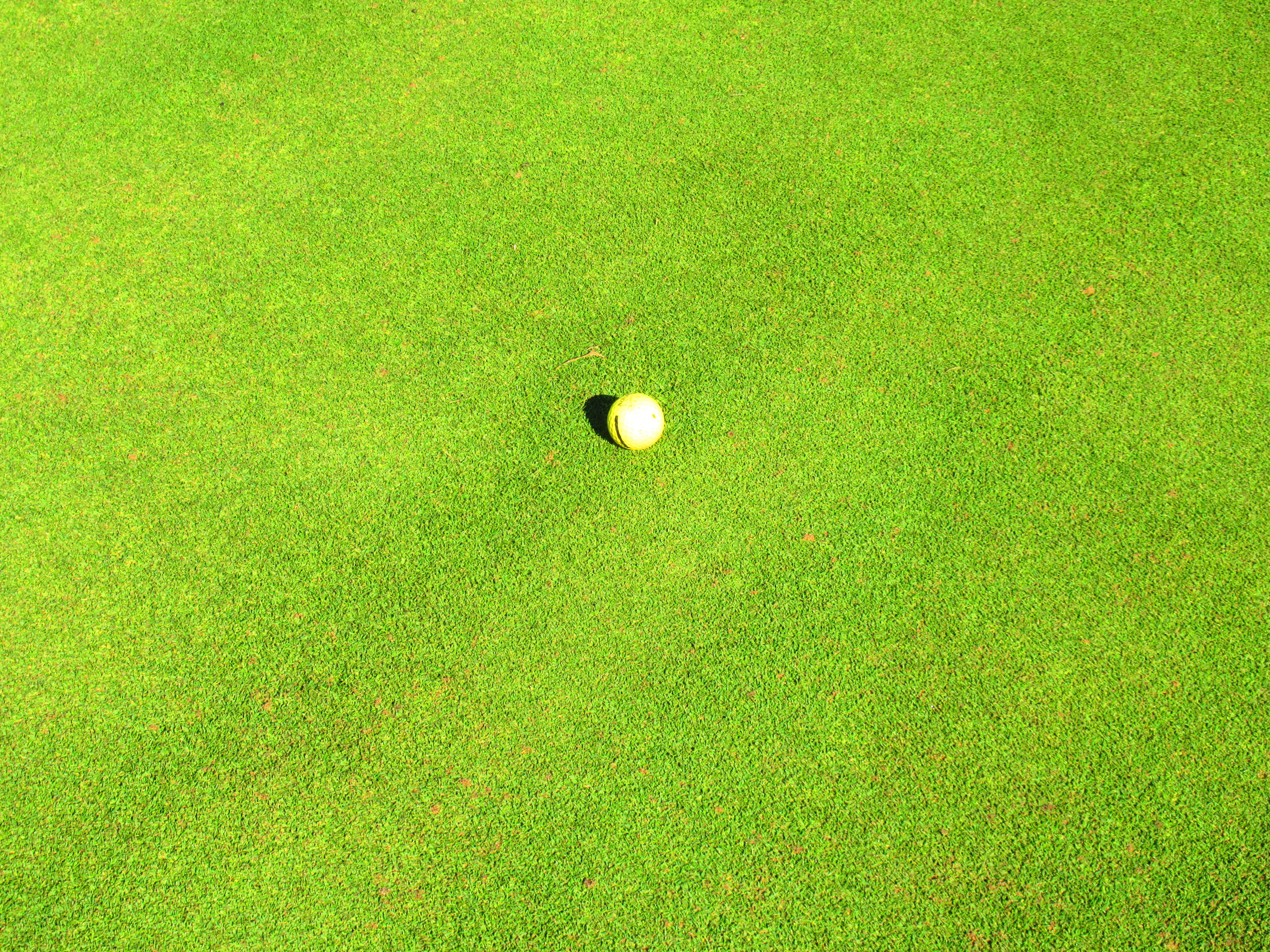 Free stock photo of golf ball on green, sport, outdoors