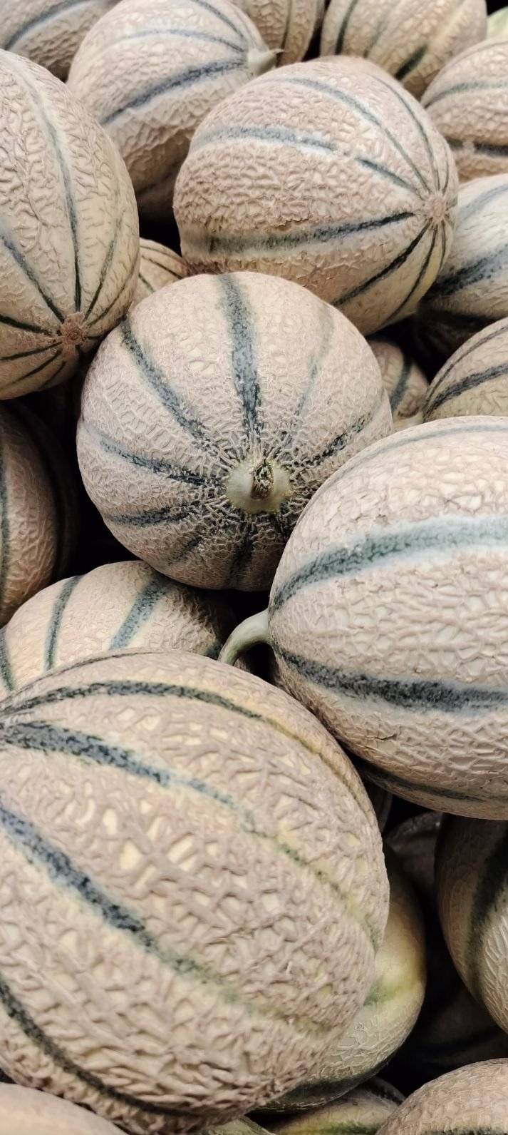 Pile de melons mûrs, Pilha de melões maduros Foto grátis