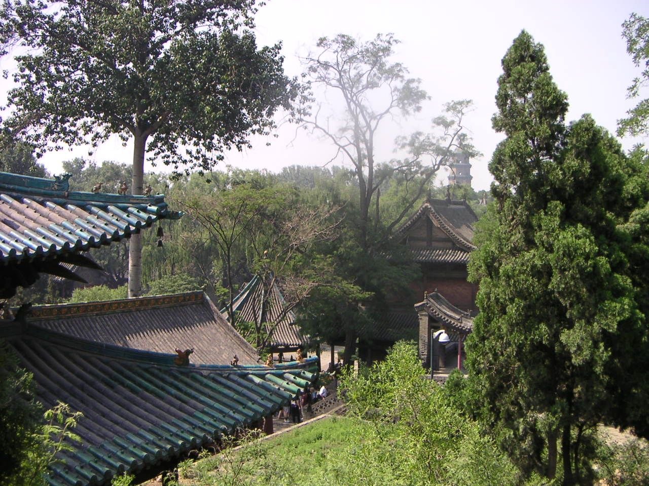 Pagodes entourées d'arbres, temple chinois, Asie photo gratuite