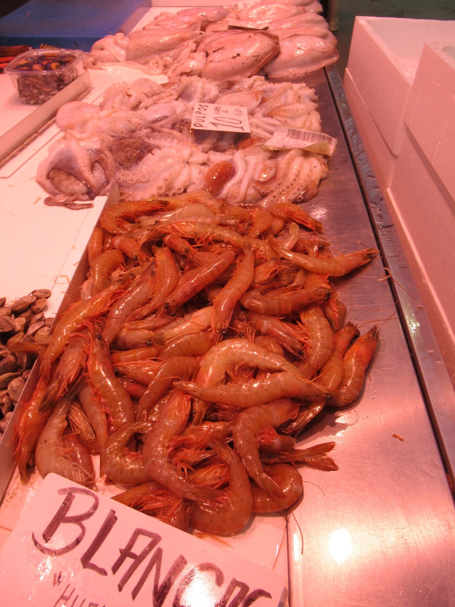 Un étal de poissonnerie où sont exposés des produits de la mer frais, photo gratuite