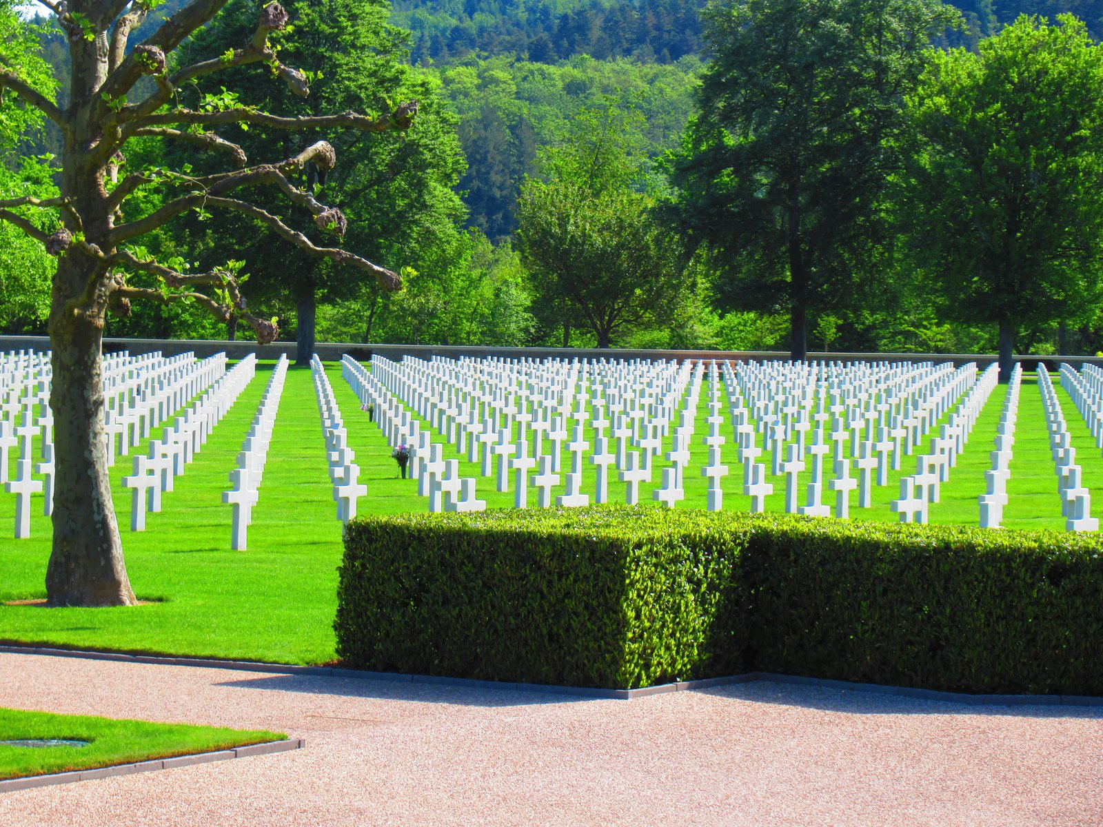 Des croix du cimetière militaire américain d’Epinal dans les Vosges en France photo gratuite
