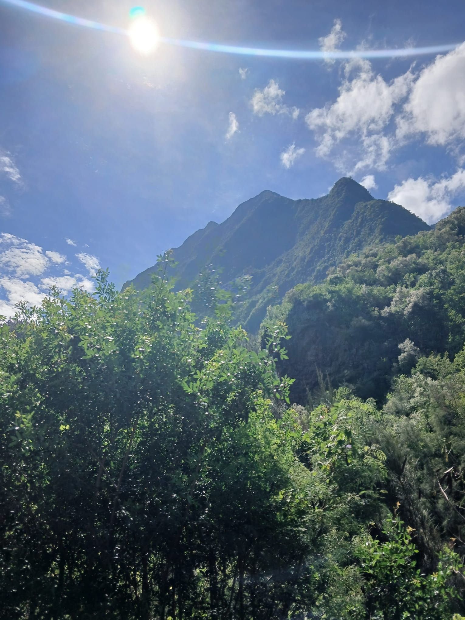 Montagnes sur l'île de la Réunion, photo gratuite