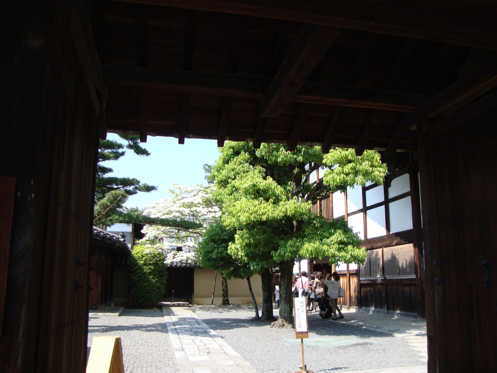 Un arbre au centre de la cour du temple Daitoku-ji, photo gratuite