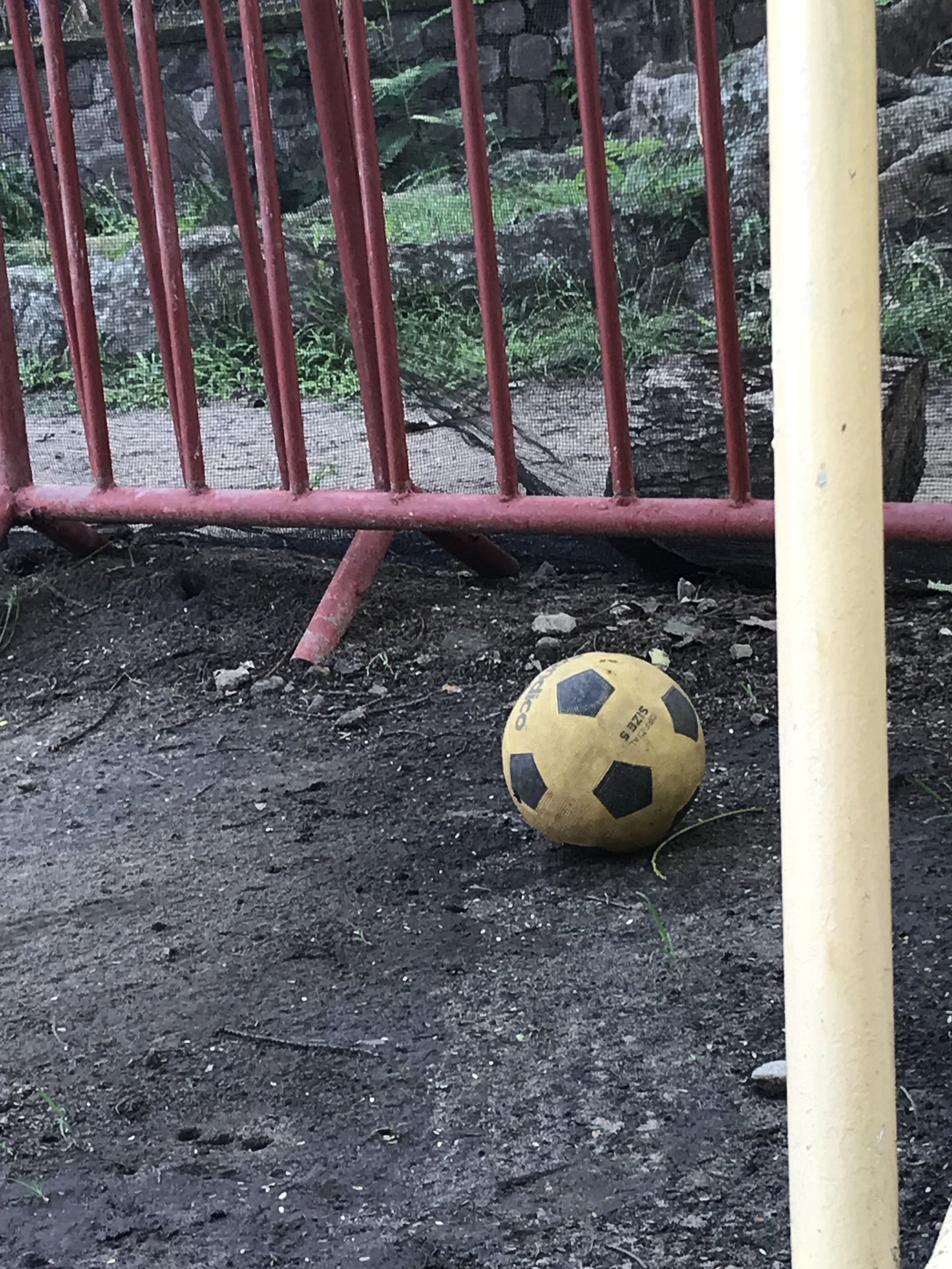 Un ballon de football photo gratuite