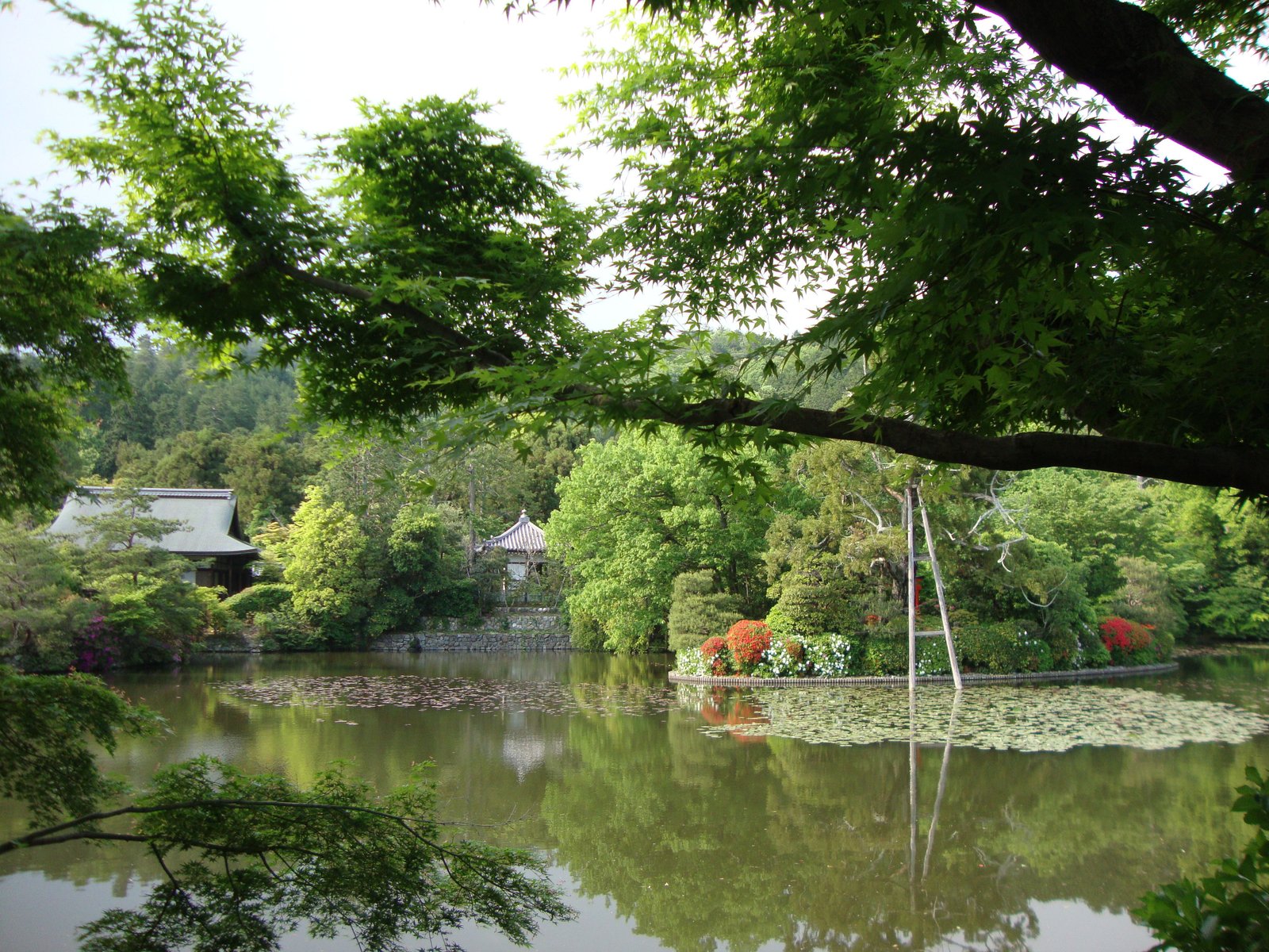 Un vaste jardin de promenade autour de l'étang, photo gratuite
