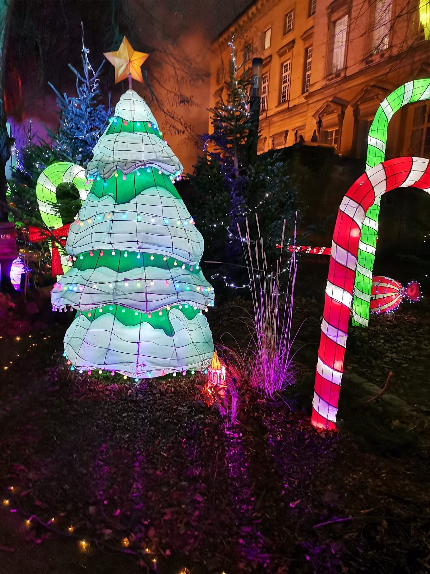 Sapin de Noël et sucres d'orge au sentier des lanternes à Metz