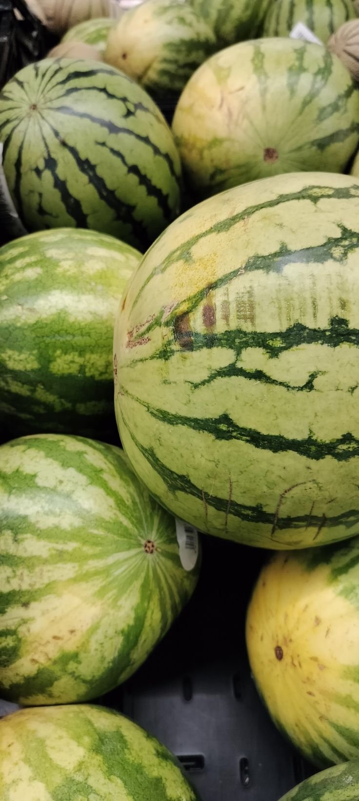 Pile de pastèques vertes, Montón de sandías verdes