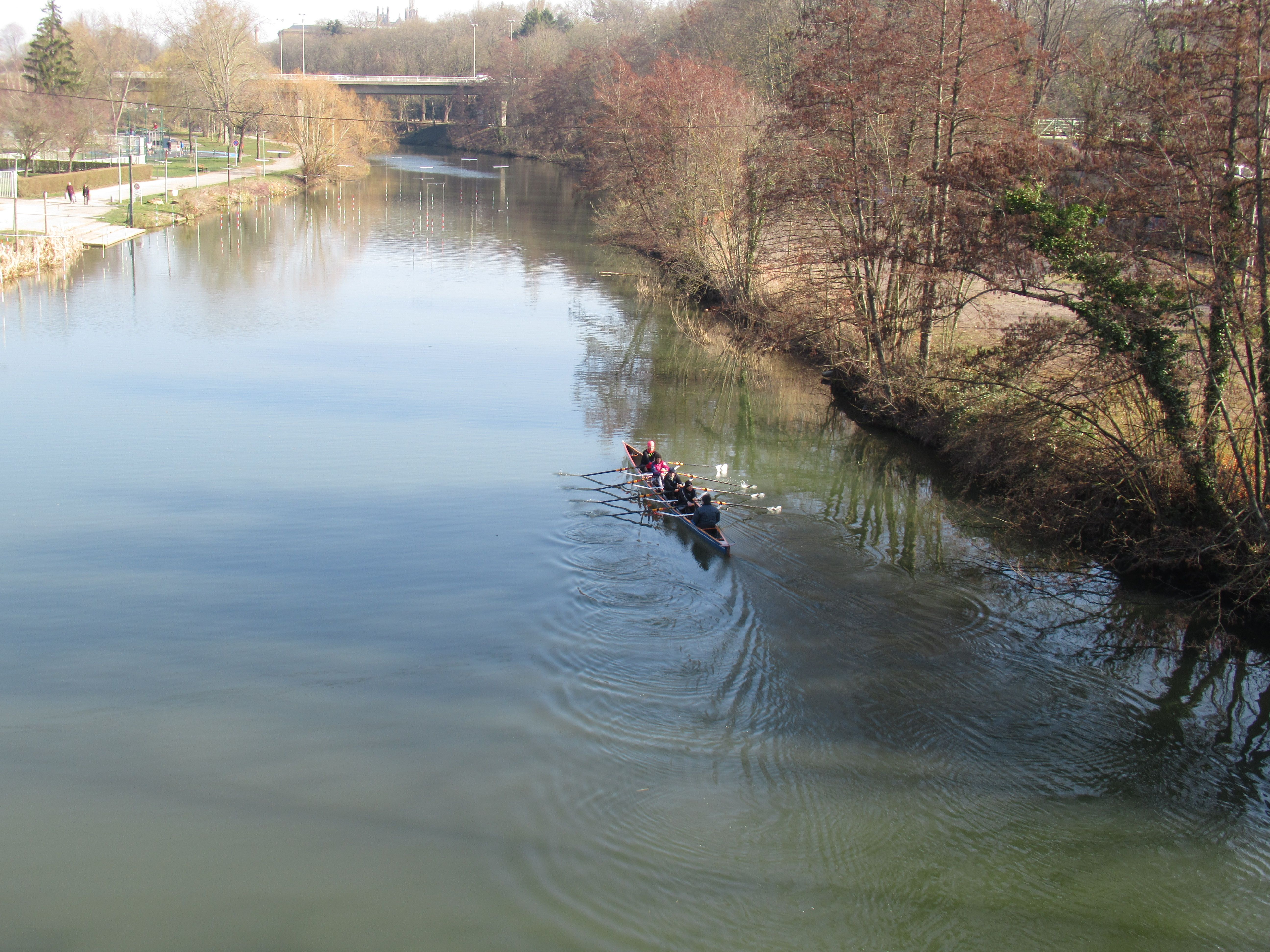 Aviron sur la Moselle au plan d'eau à Metz