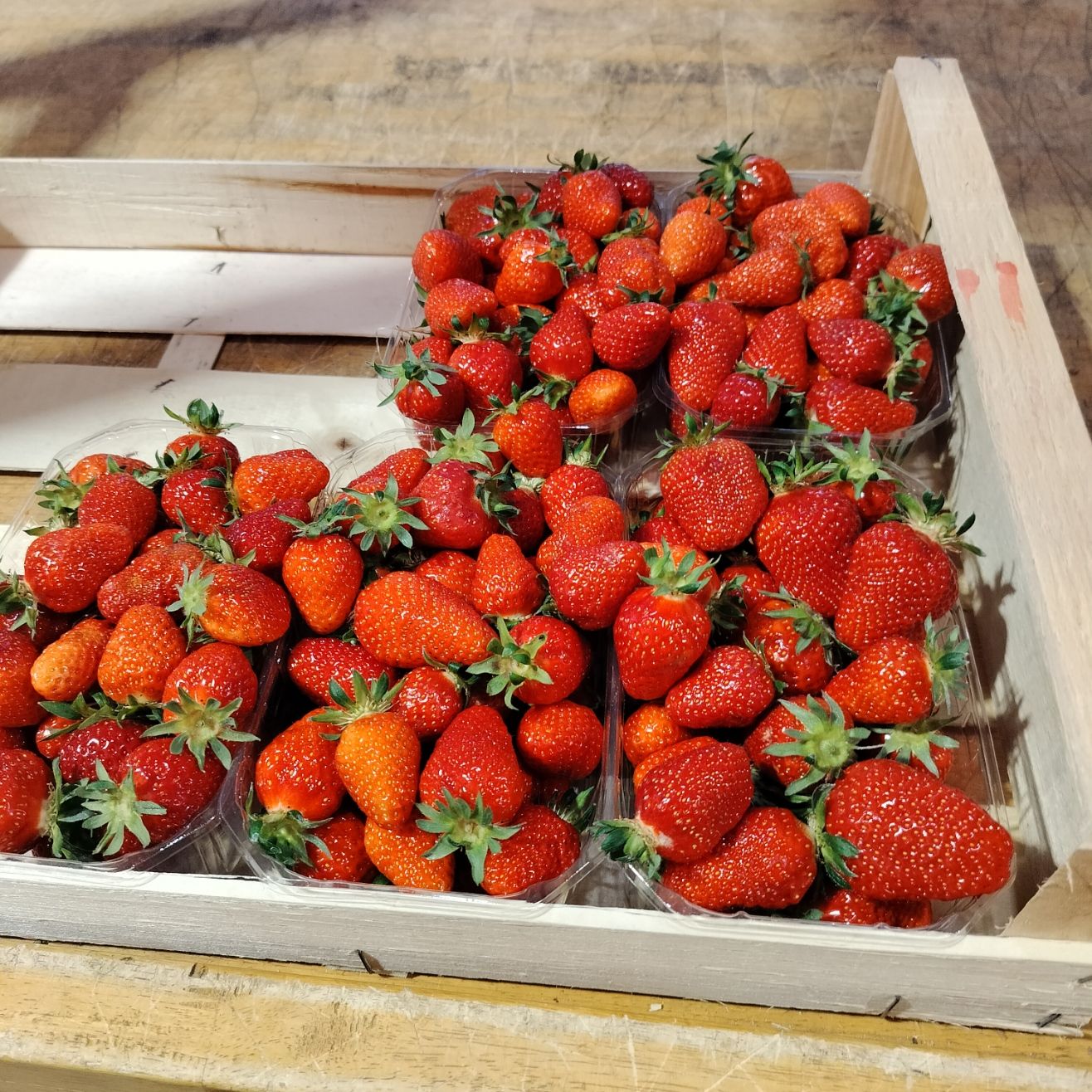 Barquettes de fraises dans une cagette