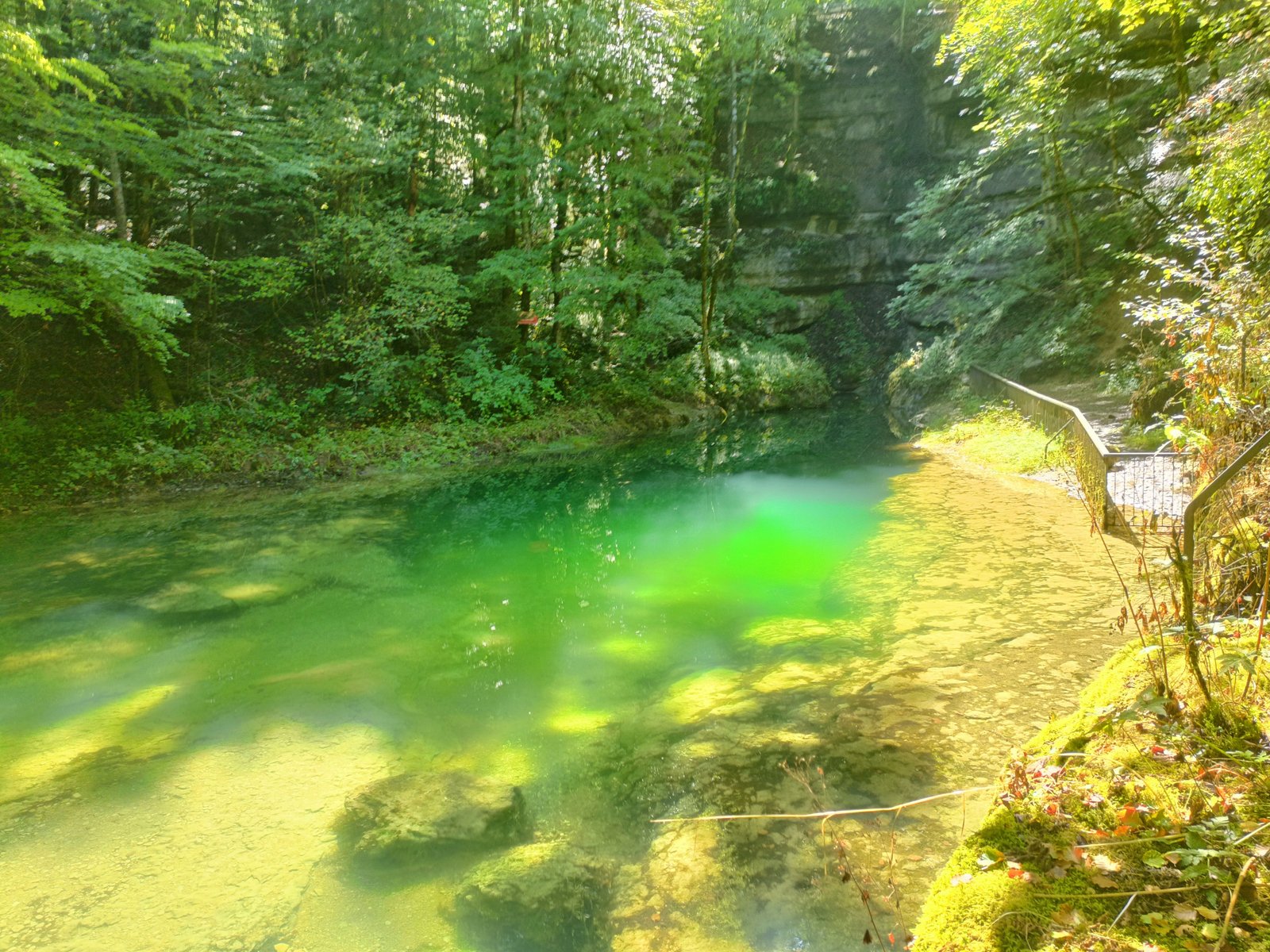 The source of the Ain surrounded by a forest, free photo