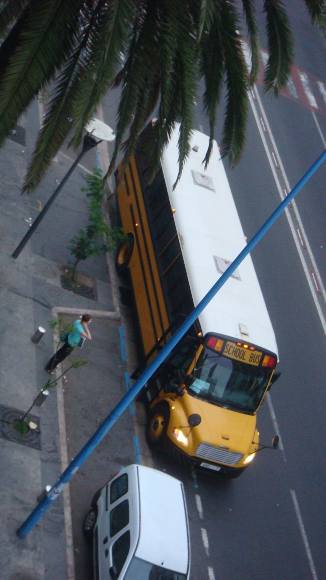 School bus photo gratuite