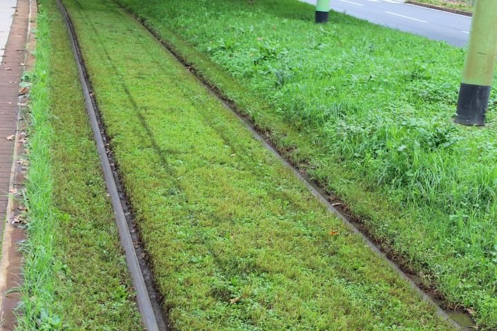 des rails de tramway intégrés dans une bande de gazon photo gratuite