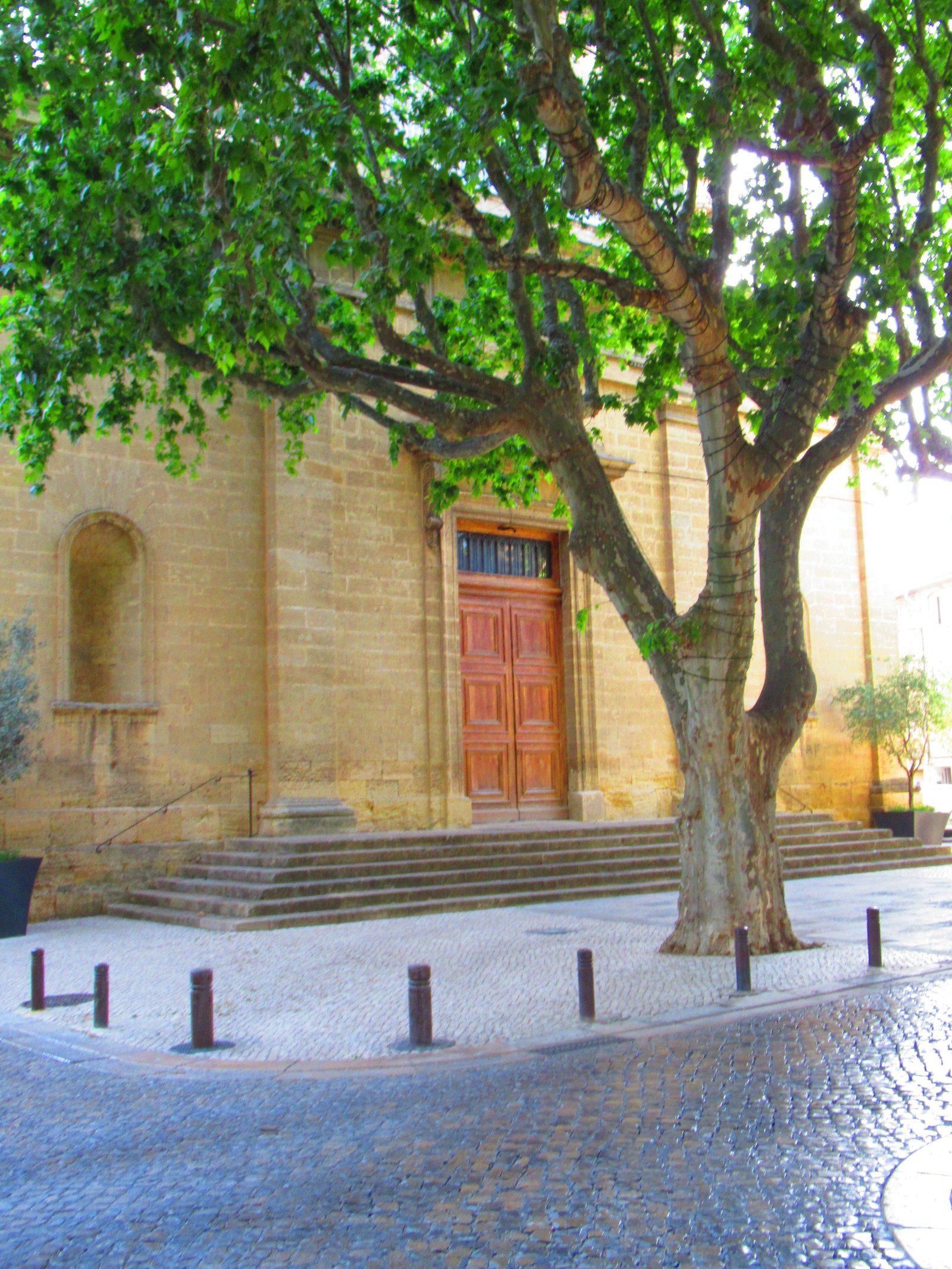 Parvis de l'église Saint Maurice de Pélissanne