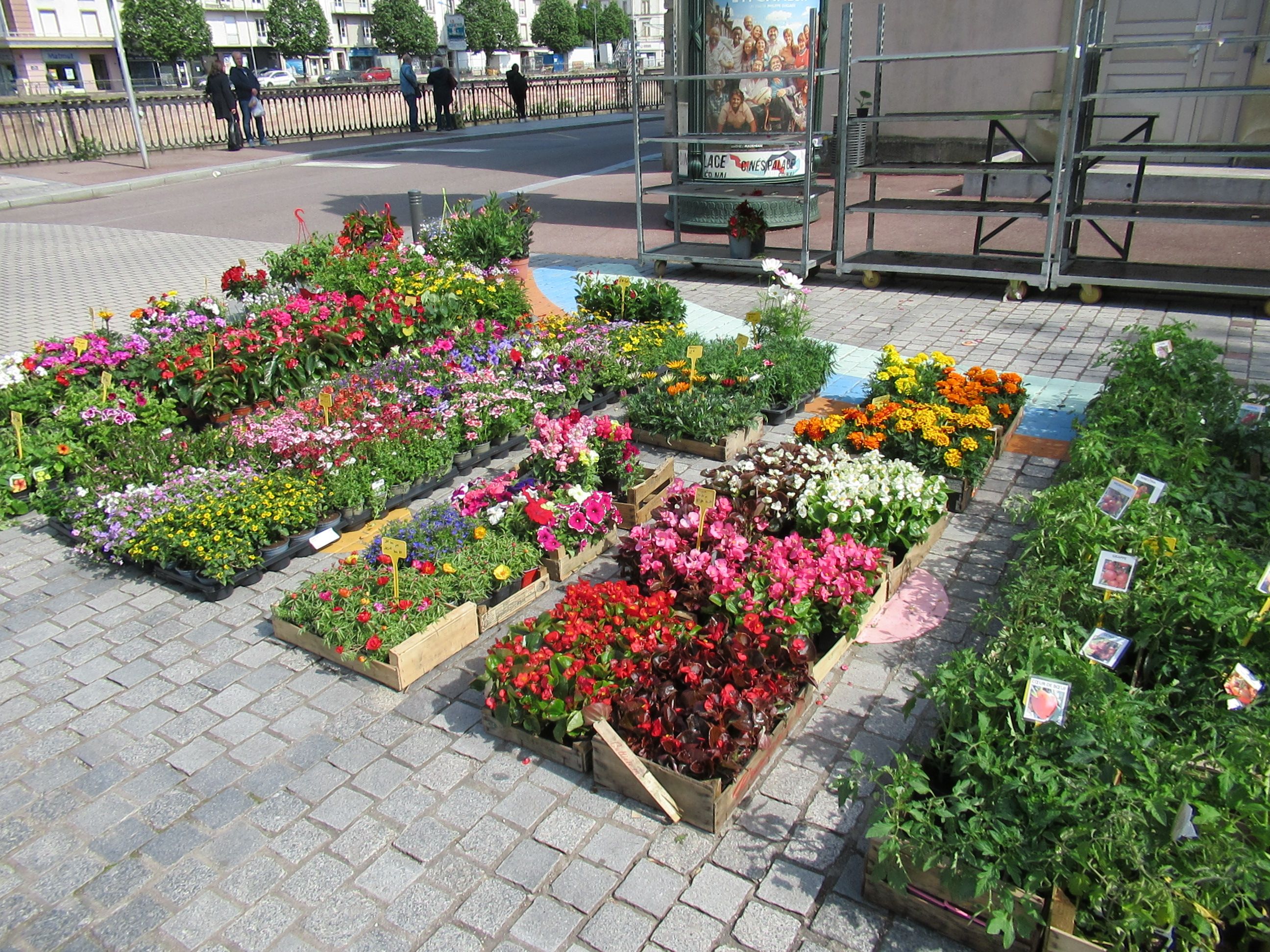 Vente de fleurs au marché