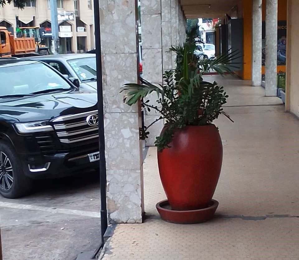 Pot de fleurs photo gratuite