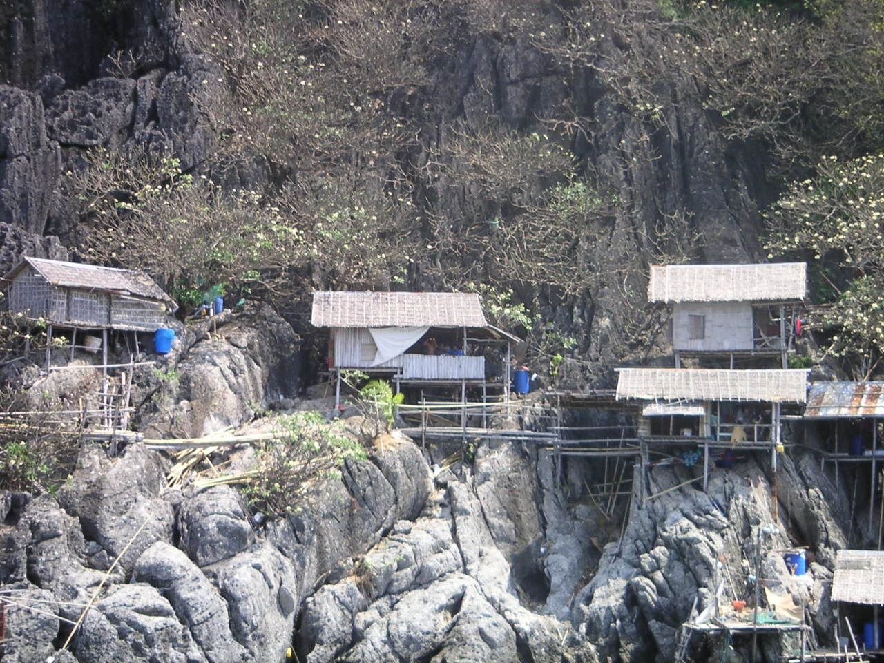 Des cabanes construites sur une falaise entourée de végétation, photo gratuite