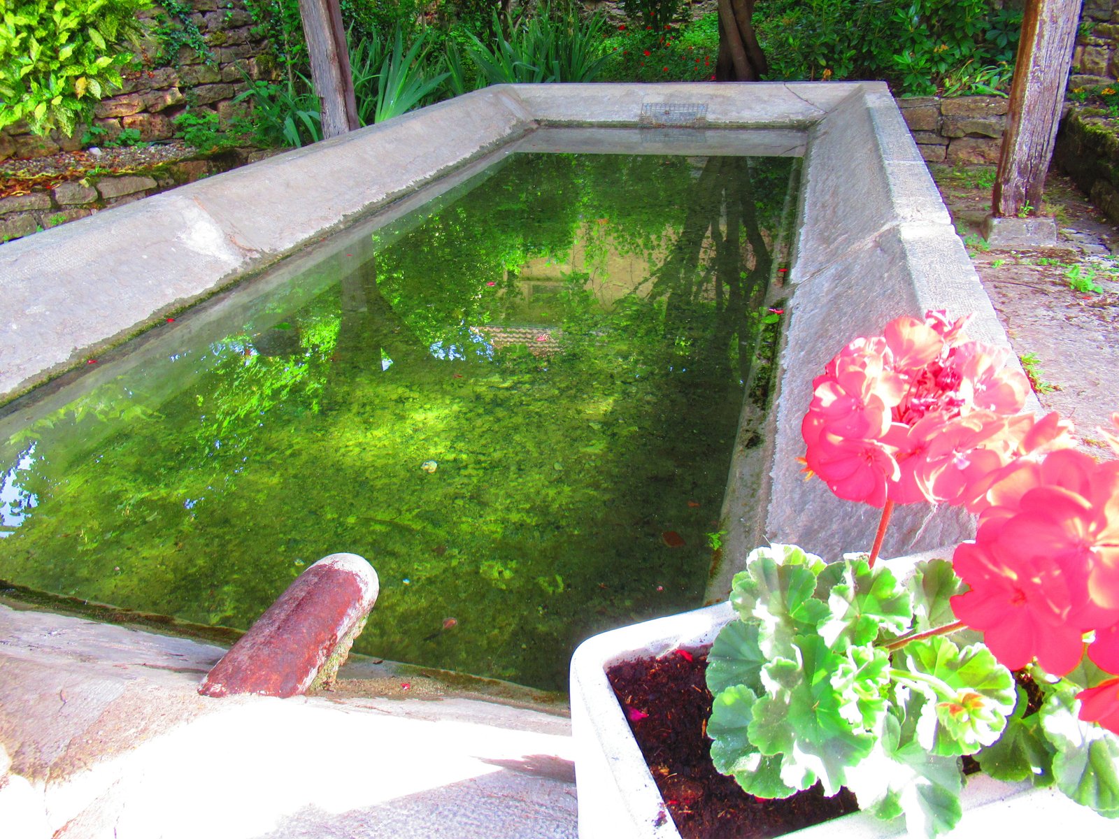 Un petit lavoir d'eau dans un jardin avec un pot de fleur, photo gratuite