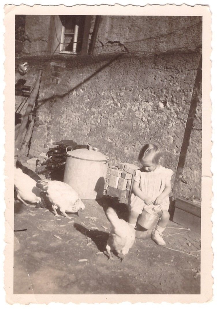 Photo gratuite d'Allemagne 1948 d'une petite fille nourrissant les poules
