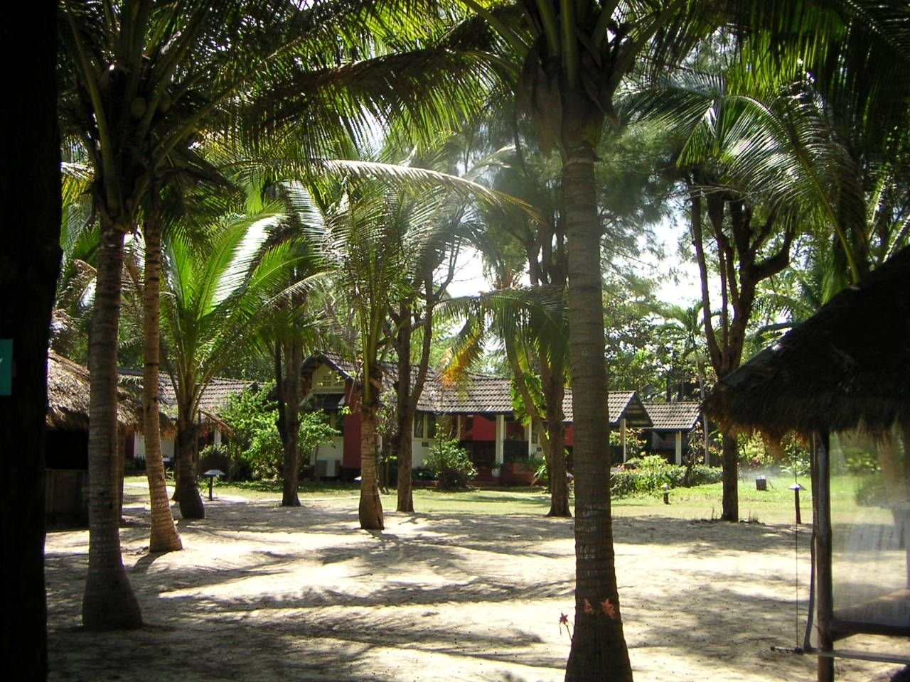 Un paysage tropical avec de nombreux palmiers suggérant un cadre de vacances ou un complexe hôtelier en bord de mer, photo gratuite