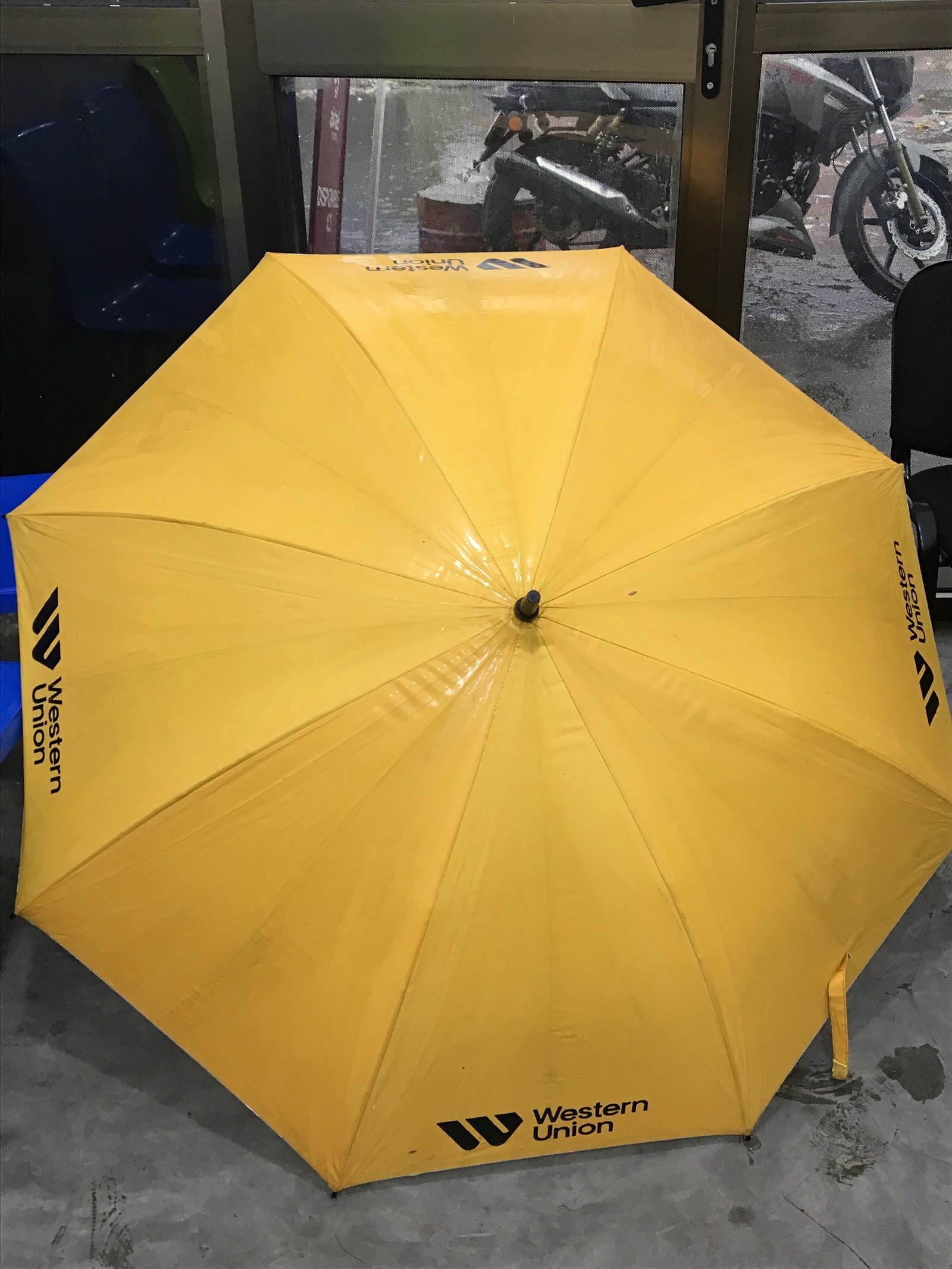 An umbrella free photo