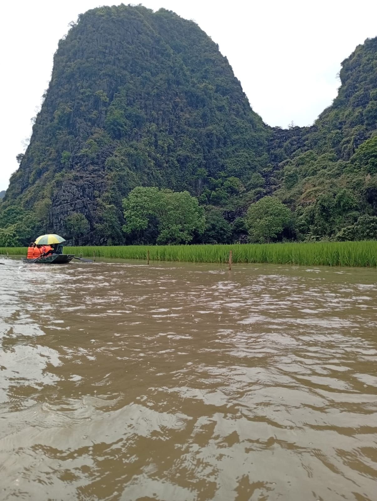 Baie d'Halong, paysage spectaculaire de pics calcaires, Vietnam, photo gratuite