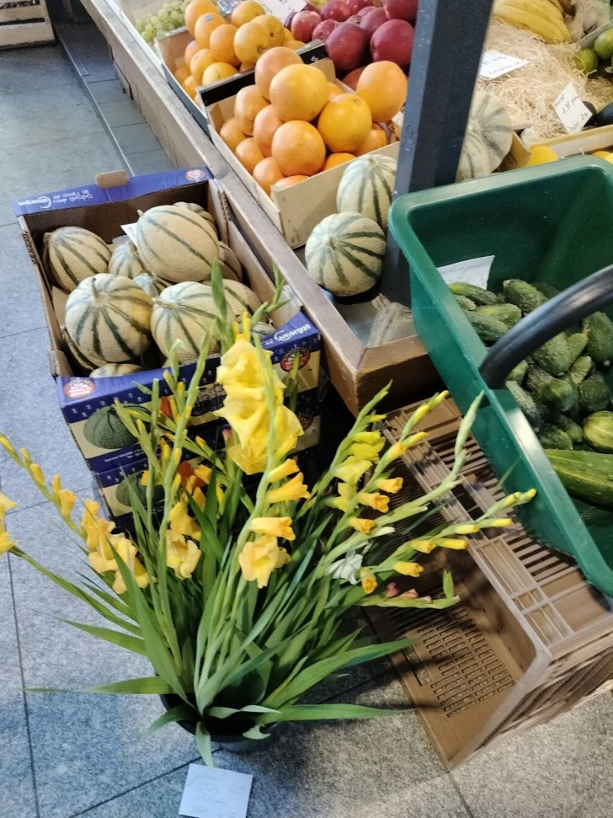 Un étalage de produits frais dans une épicerie, orange, concombre, melons rayés, fruits, photo gratuite