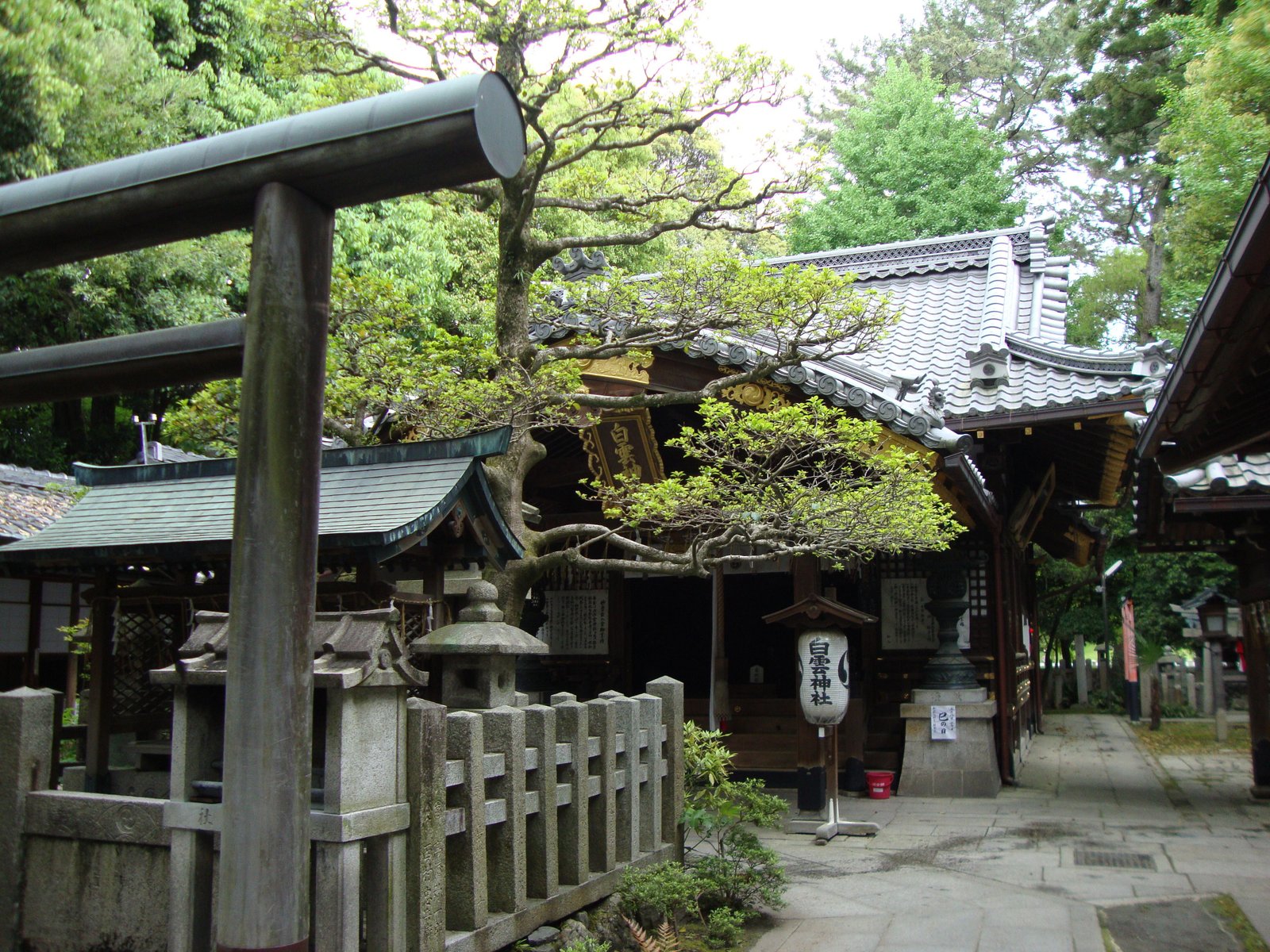 Entrée du Sanctuaire Shirakumo à Kyoto au Japon en Asie photo gratuite