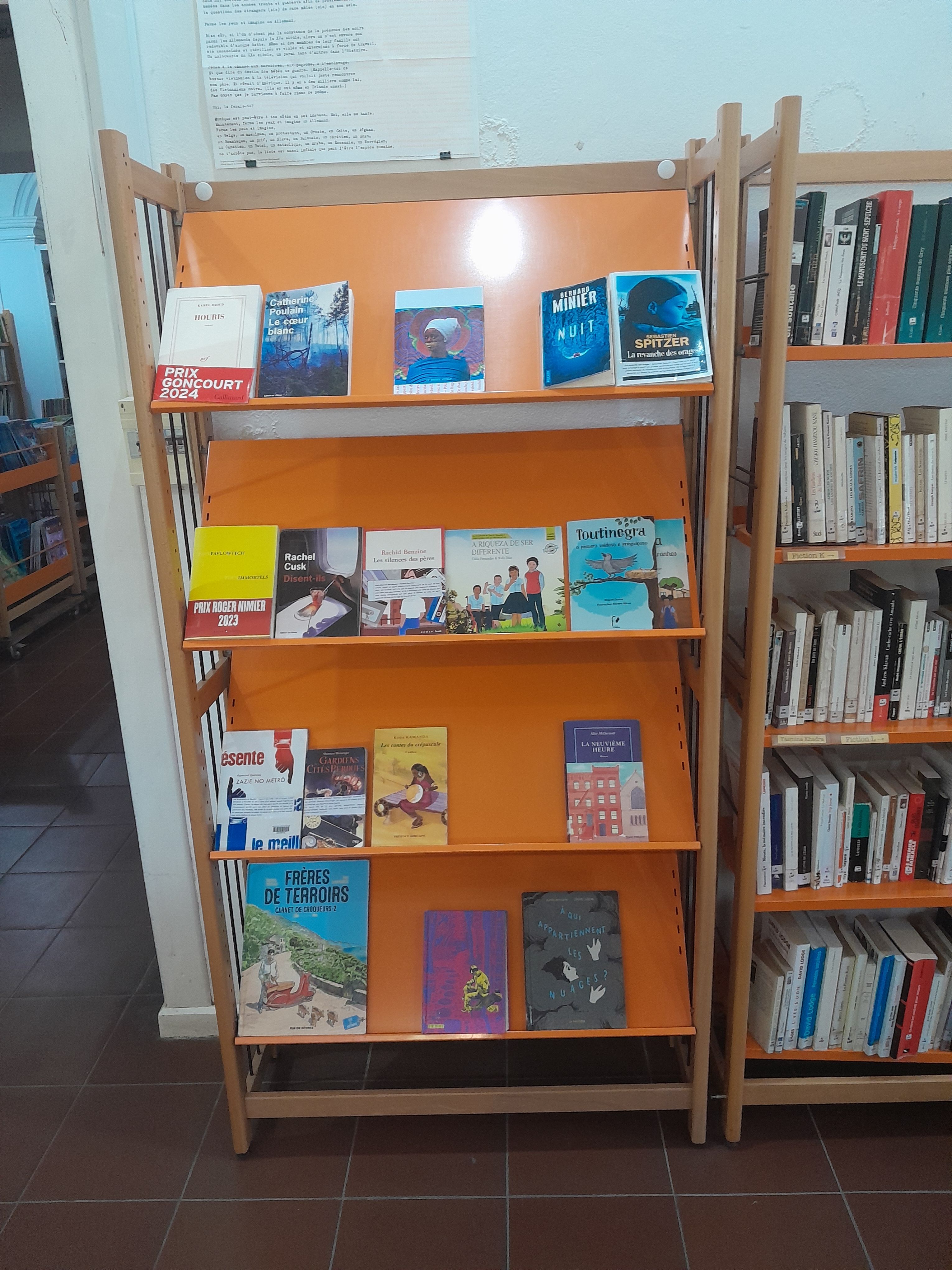 Book shelves at the CCFM media library in Maputo, Mozambique. Free photo.