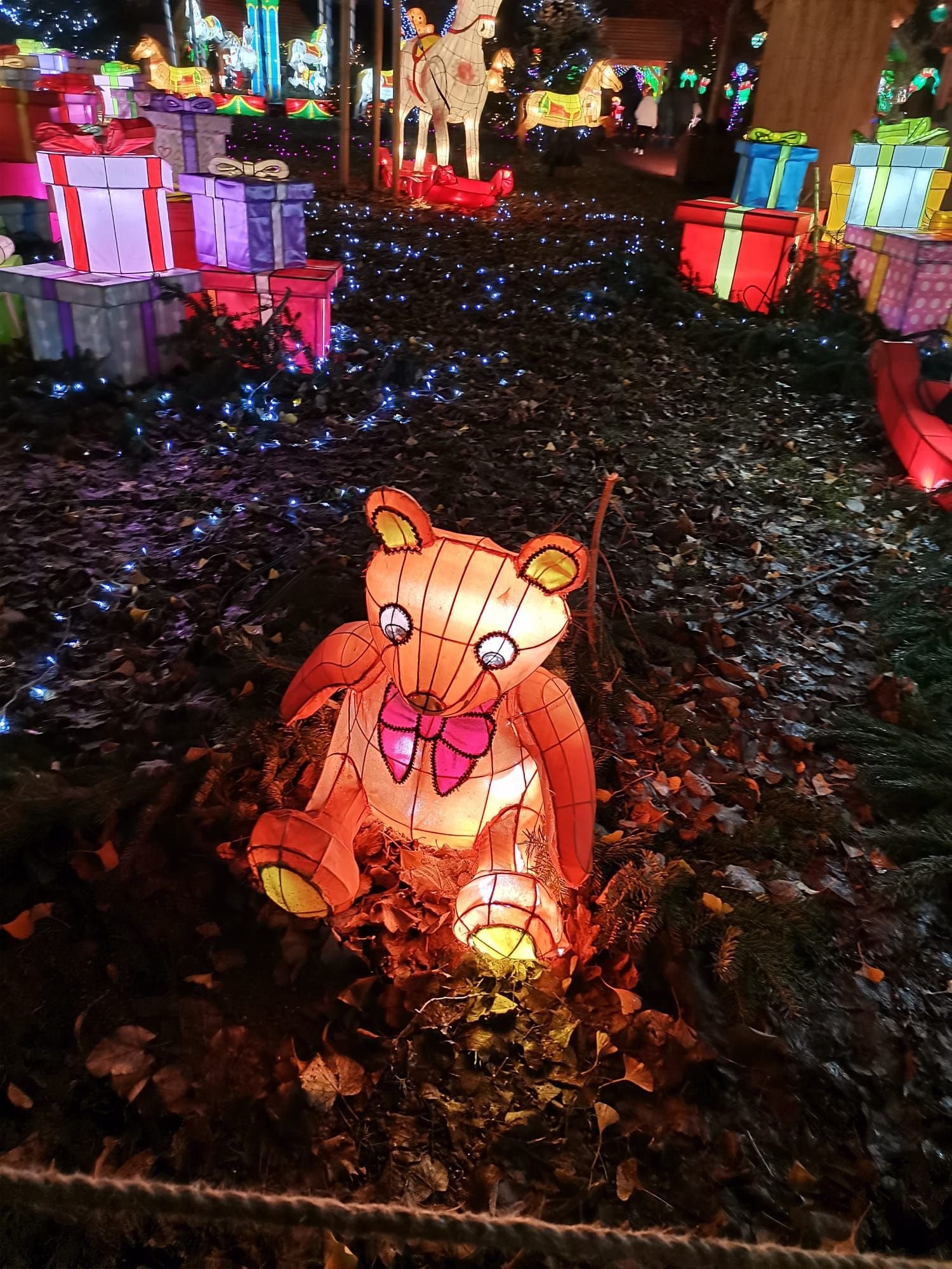 Nounours au sentier des lanternes à Metz