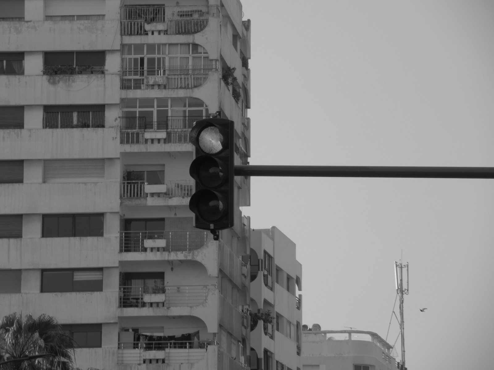 Feu de signalisation suspendu dans la ville photo gratuite