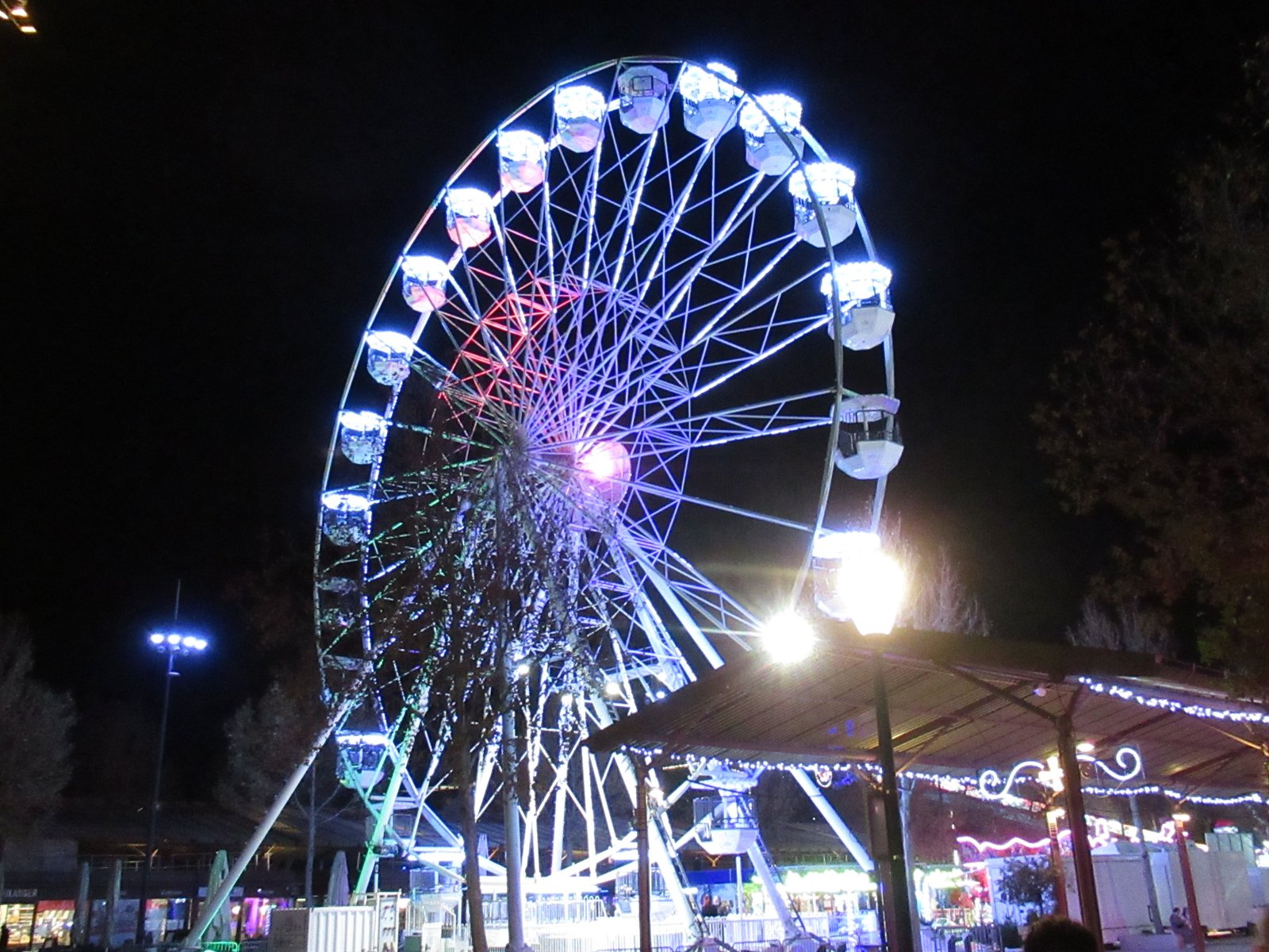 La grande roue dans un parc d'attraction photo gratuite