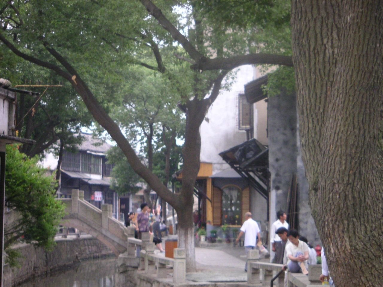 Trees by the lake in an alley in China, people sitting by the canal in Suzhou, Asia free photo.