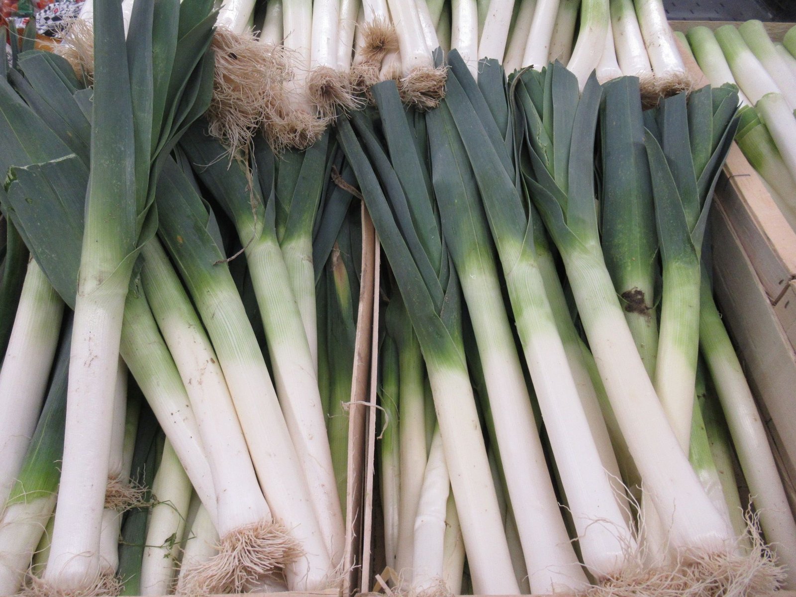 Poireaux, légumes, photo gratuite