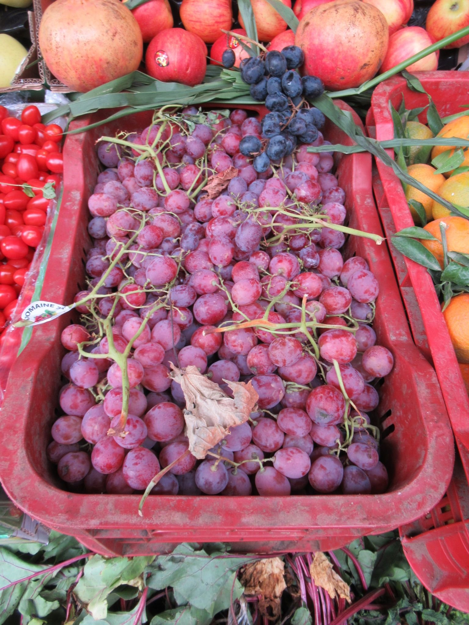 Bouquet de raisins à vendre dans un panier du marché photo gratuite