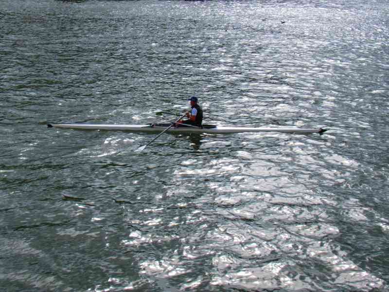 Aviron sur le Douro à Porto